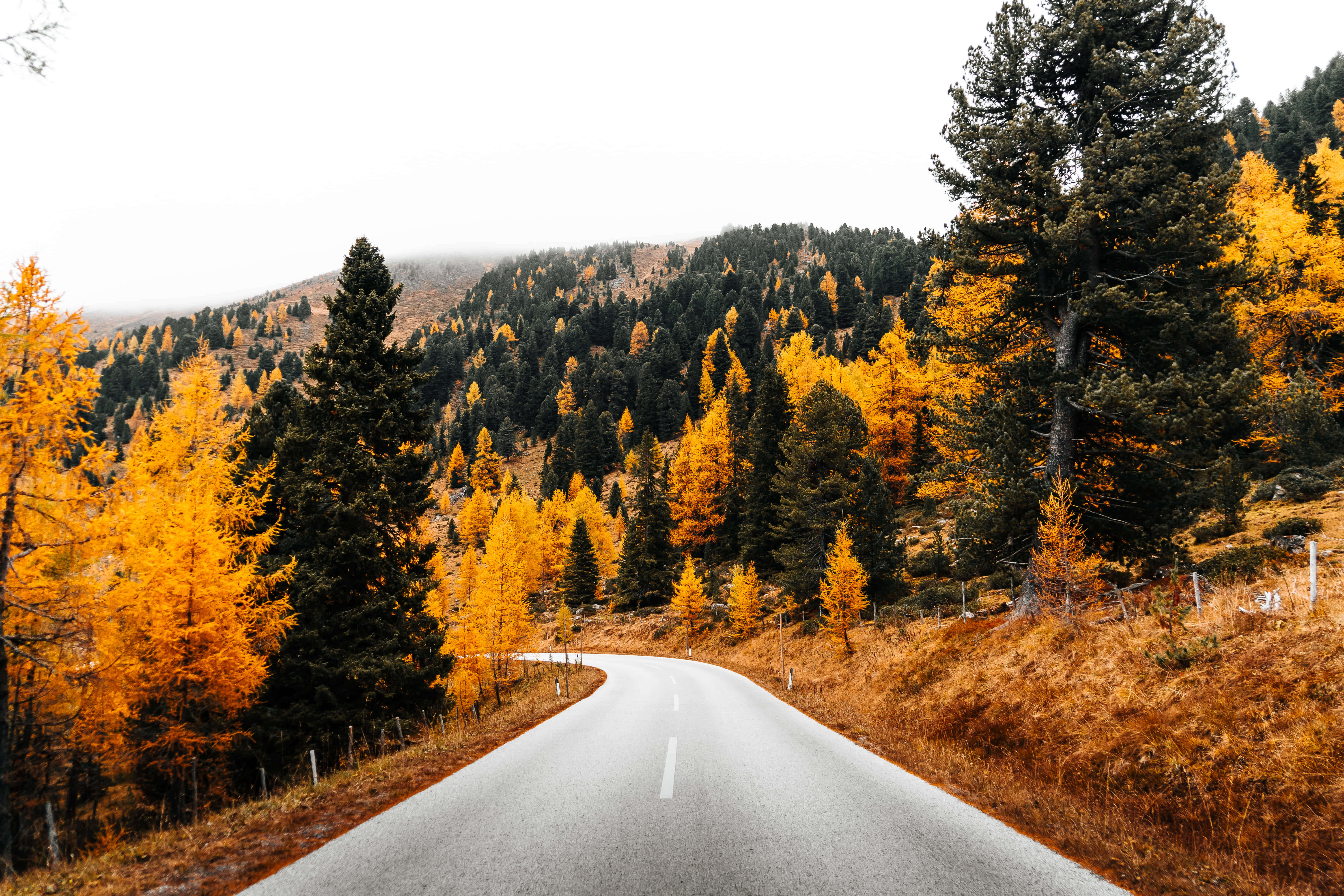 Clear Road Early Fall