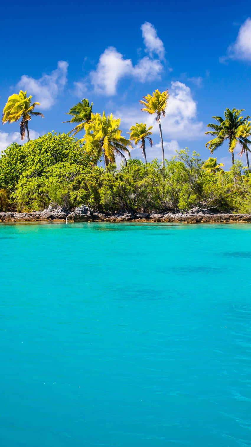 Enjoy The Peaceful Beauty Of A Retro Beach.