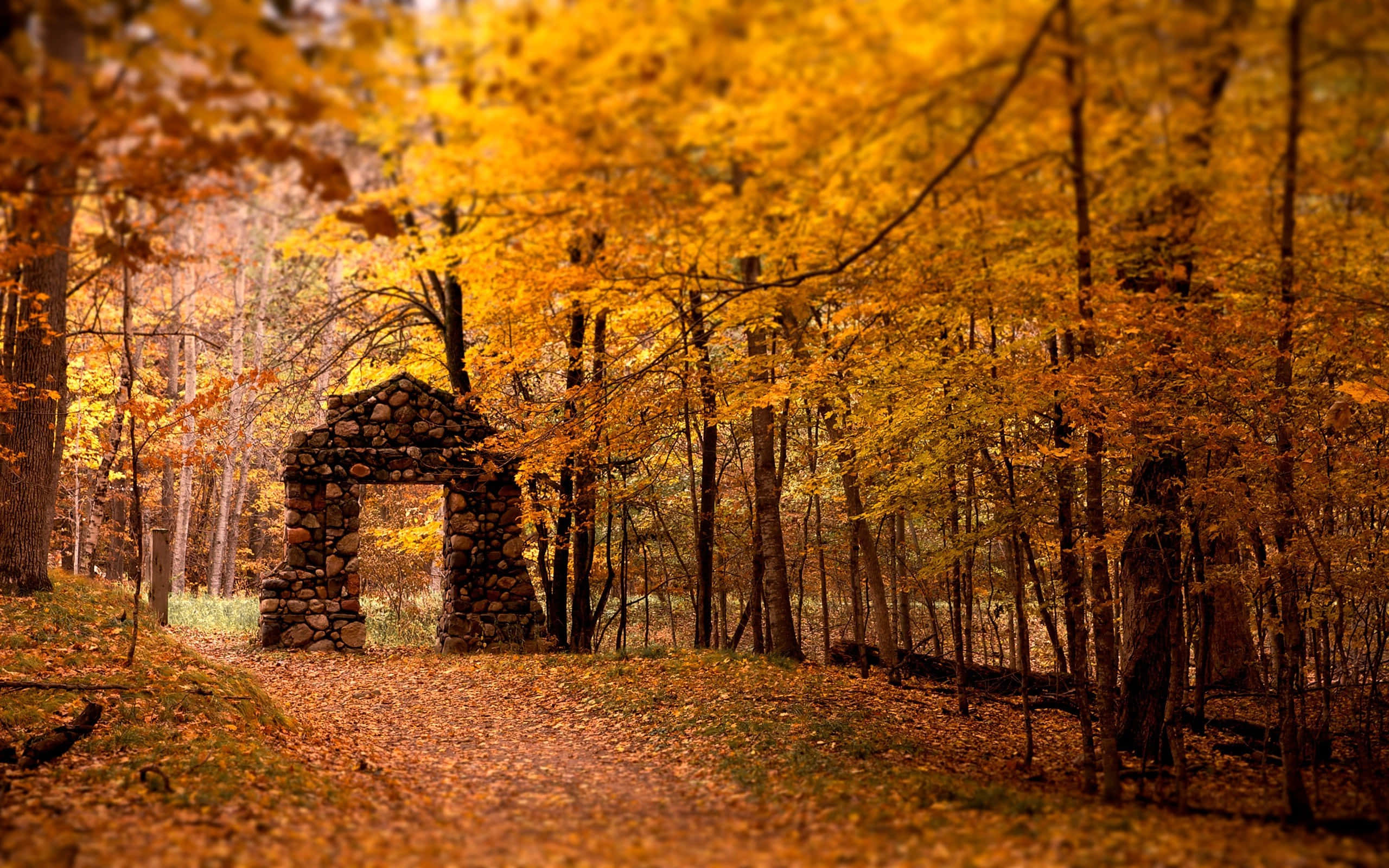 Experience A Colorful Autumn In Maine’s Acadia National Park