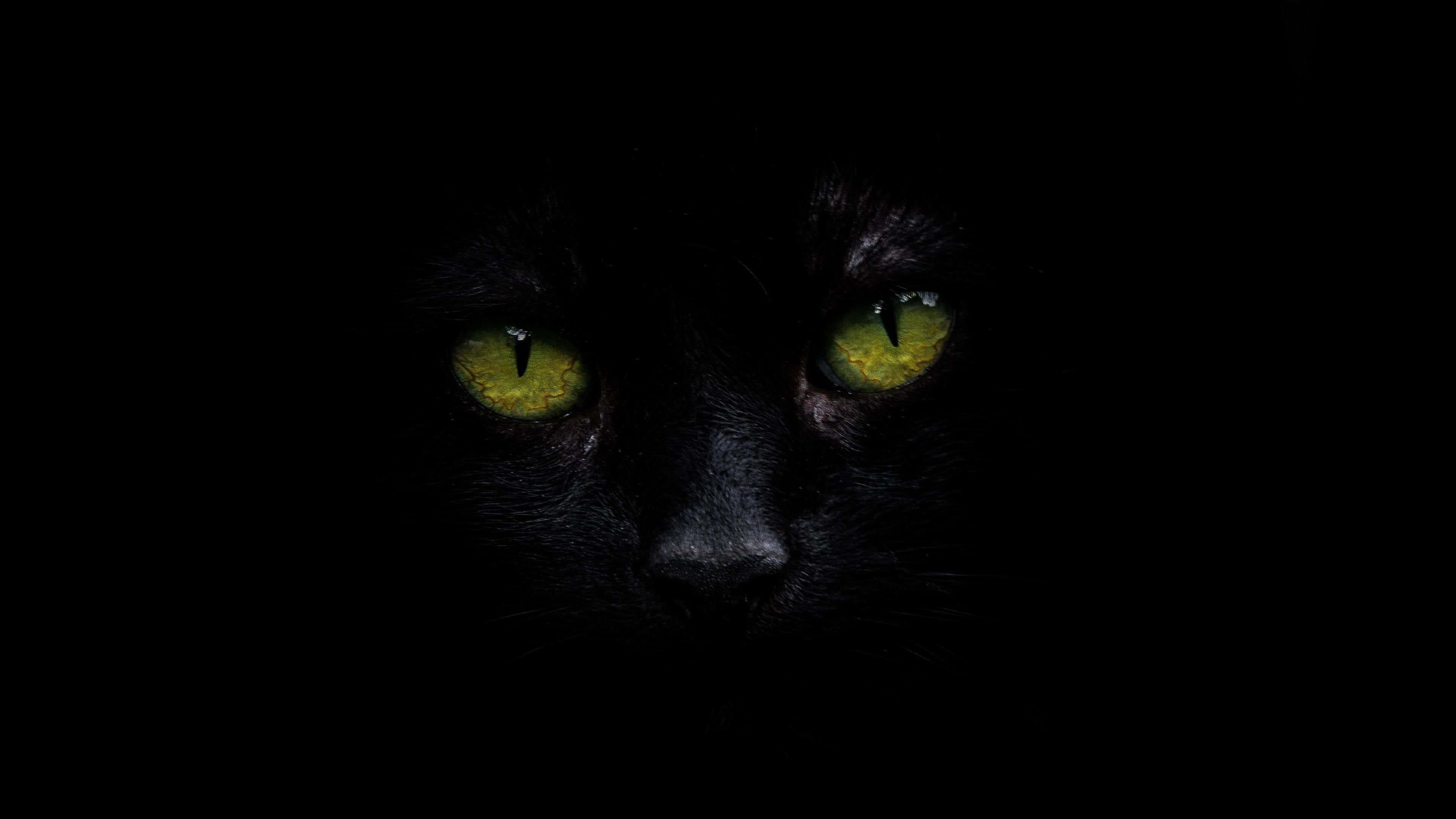 Experience True Colour With Oled 4k Hdr