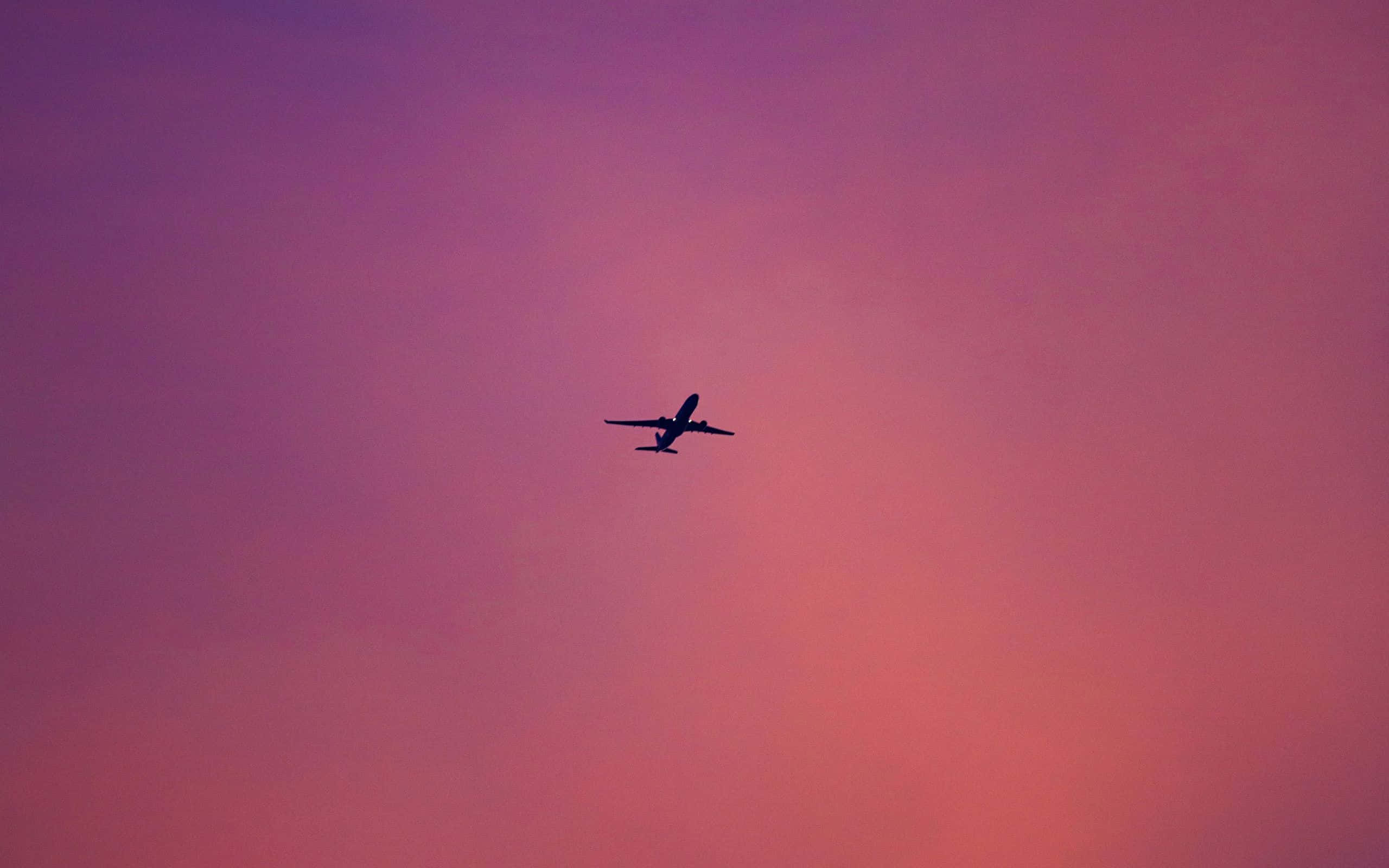 Explore The Wonders Of The Sky In A Pink Plane!