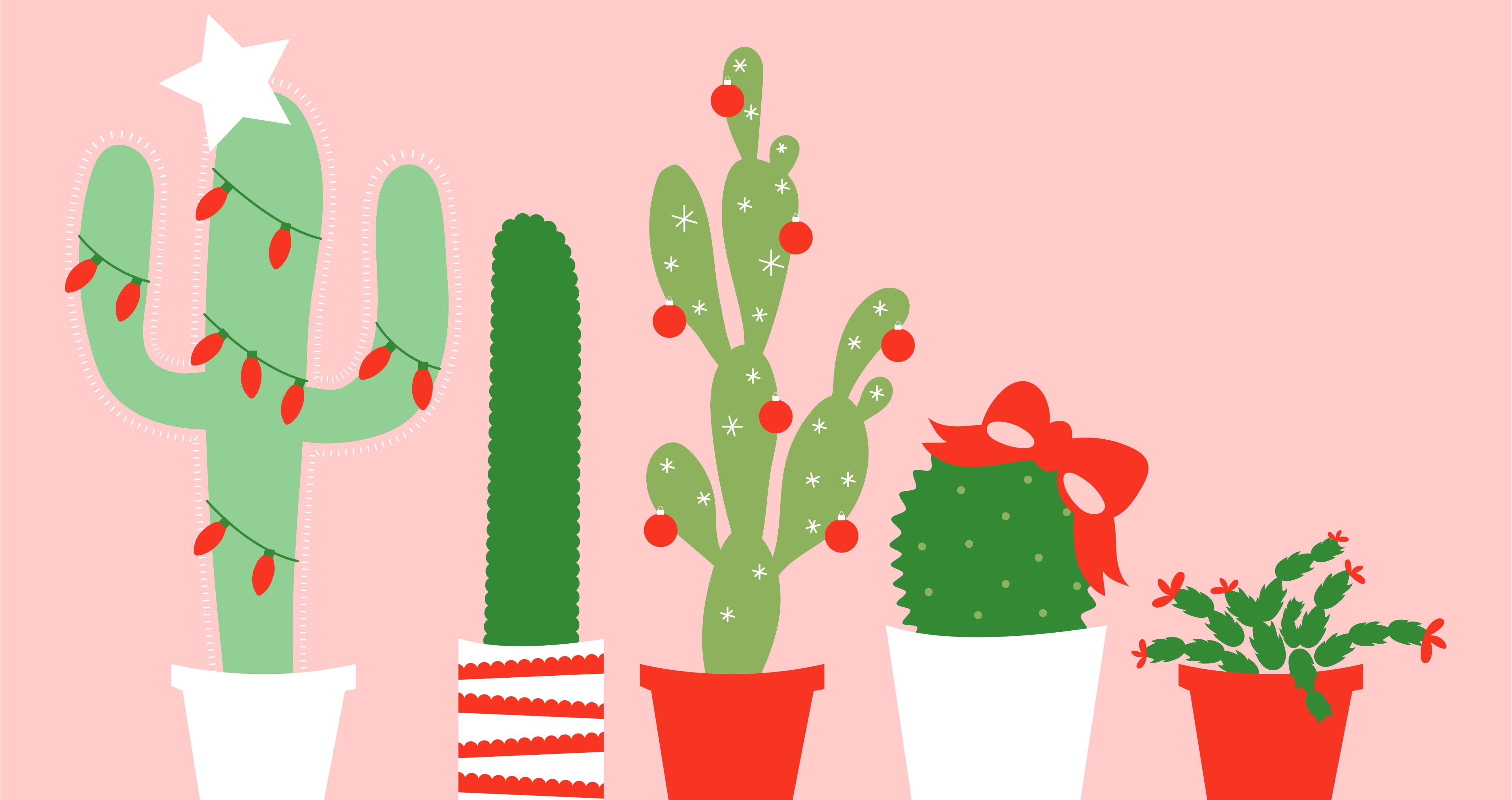 Festive Cactus Collection Desktop