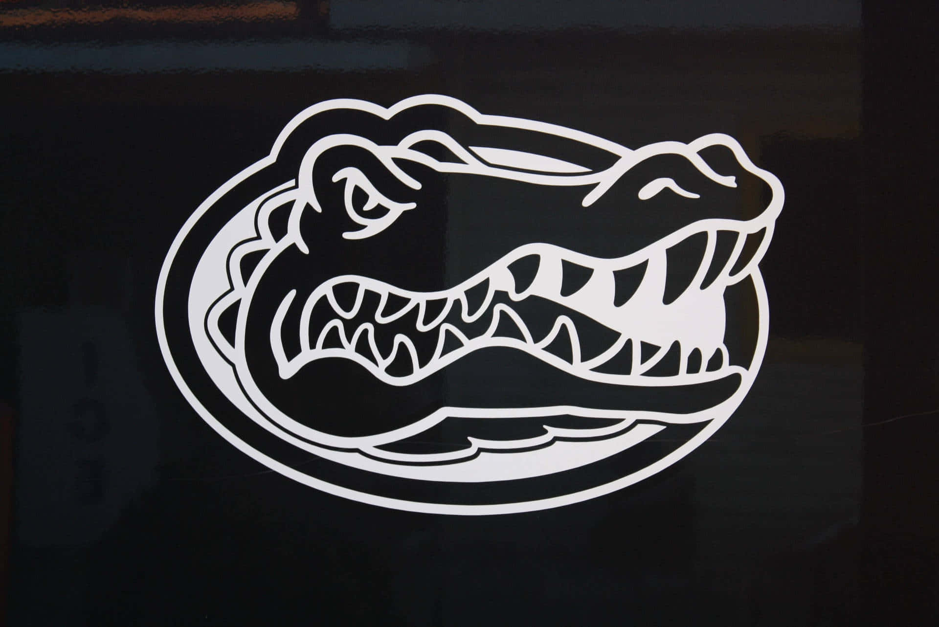 Florida Gators Decal