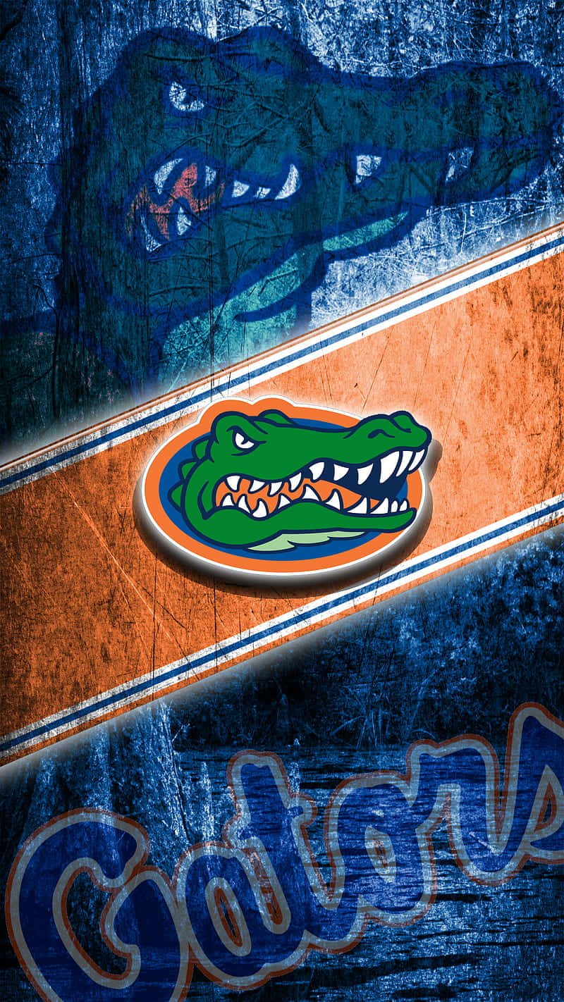 Florida Gators Wallpaper - Hd Wallpapers