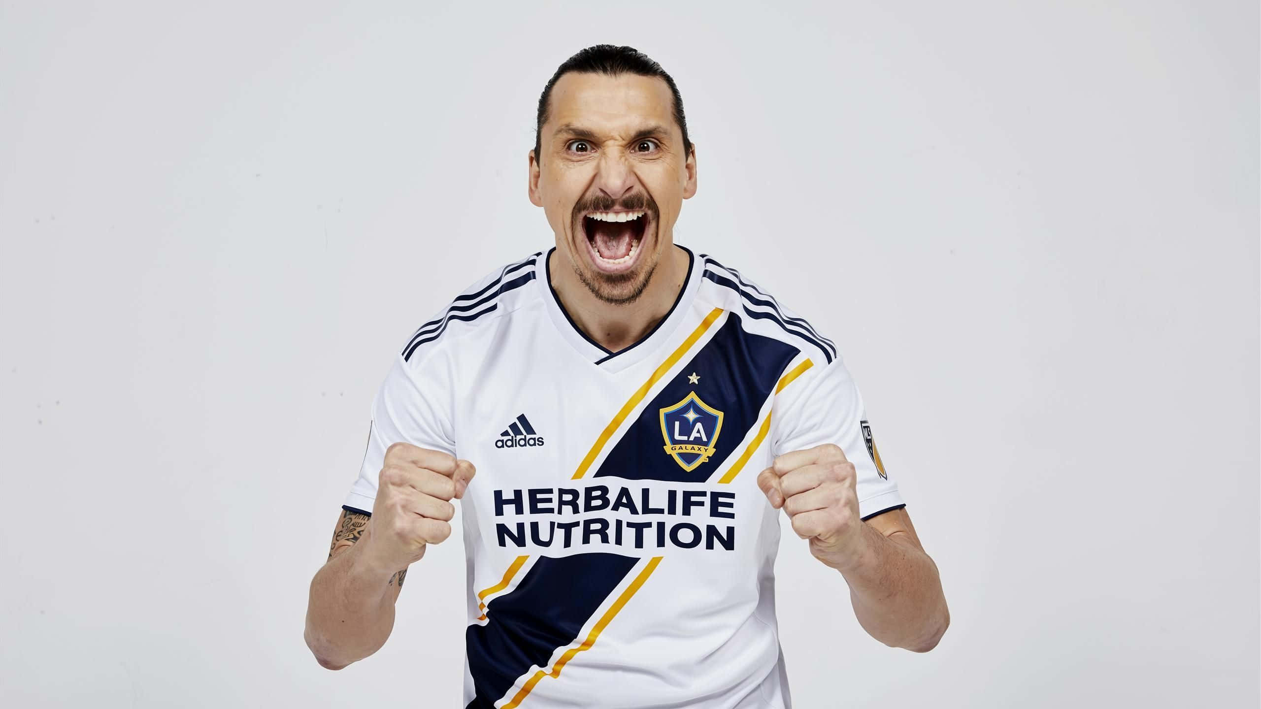 Football Galaxy Zlatan Ibrahimović