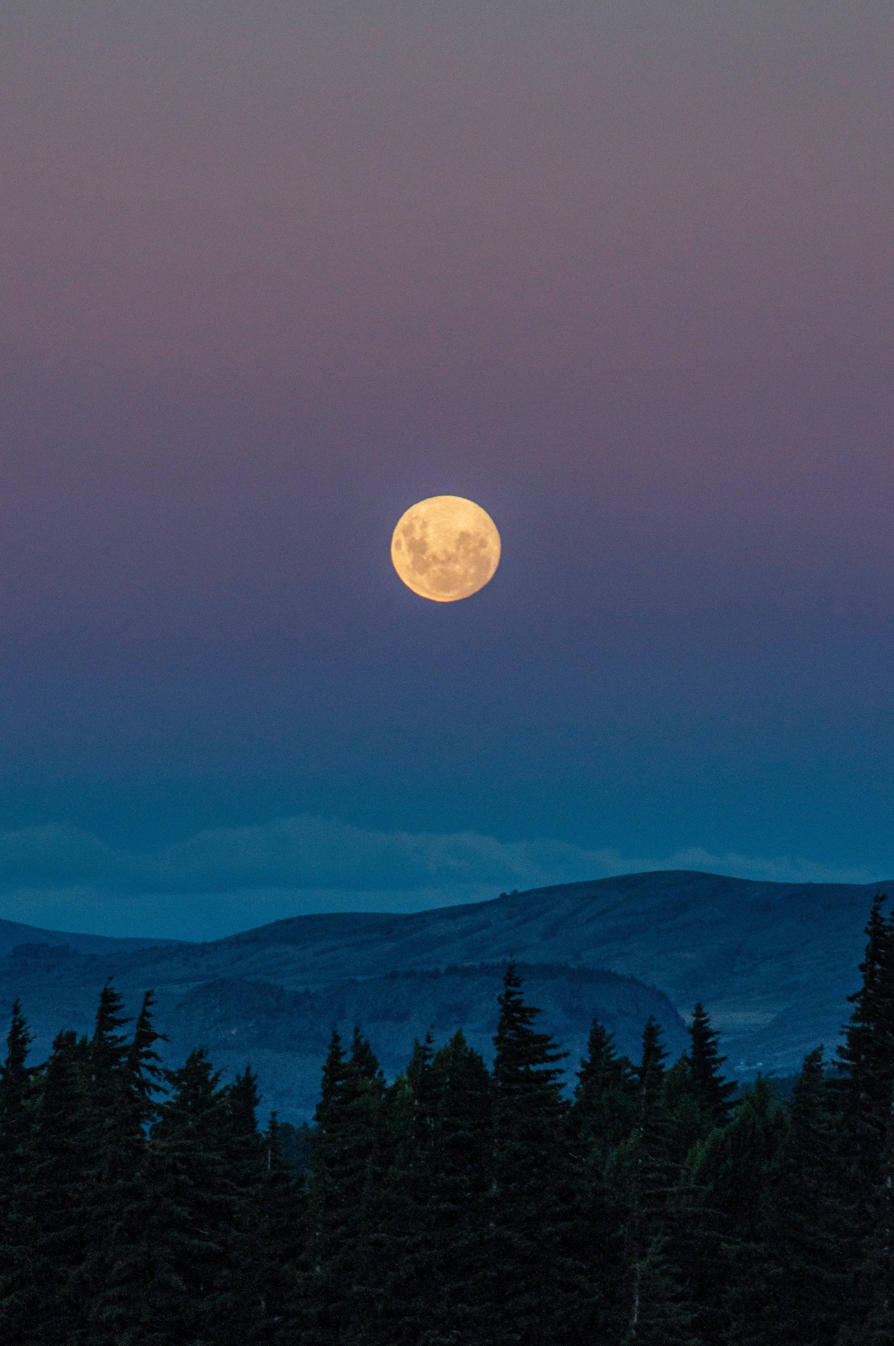 Download Free Full Moon Horizon Wallpaper MrWallpaper
