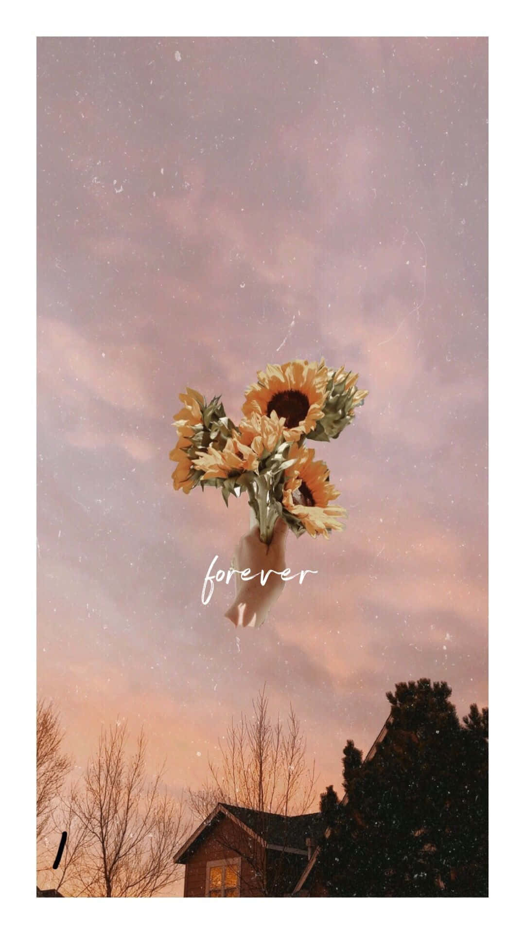 Let The Beauty Of The Sunflower Bring Sunshine To Your Day!