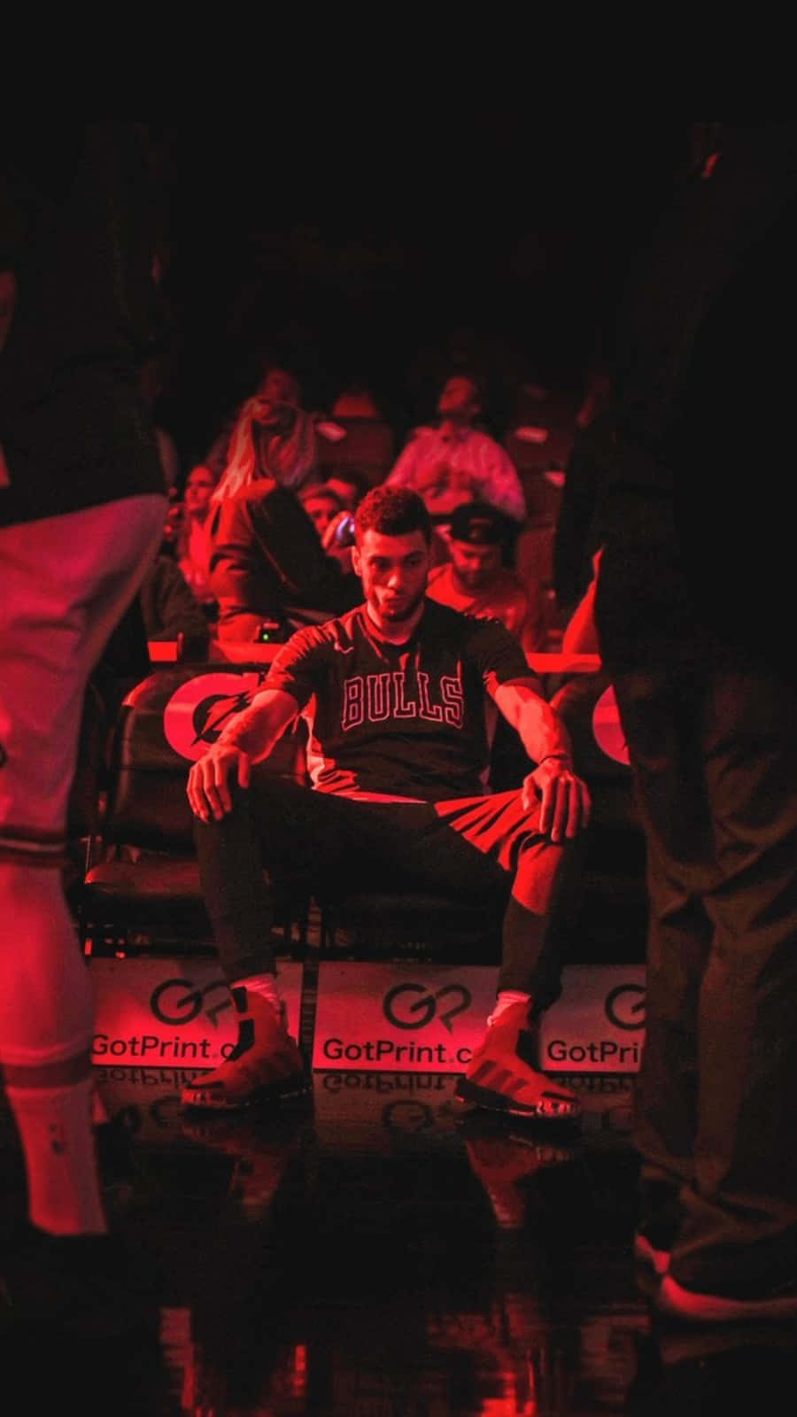 Let Your Love For The Chicago Bulls Reach New Heights.