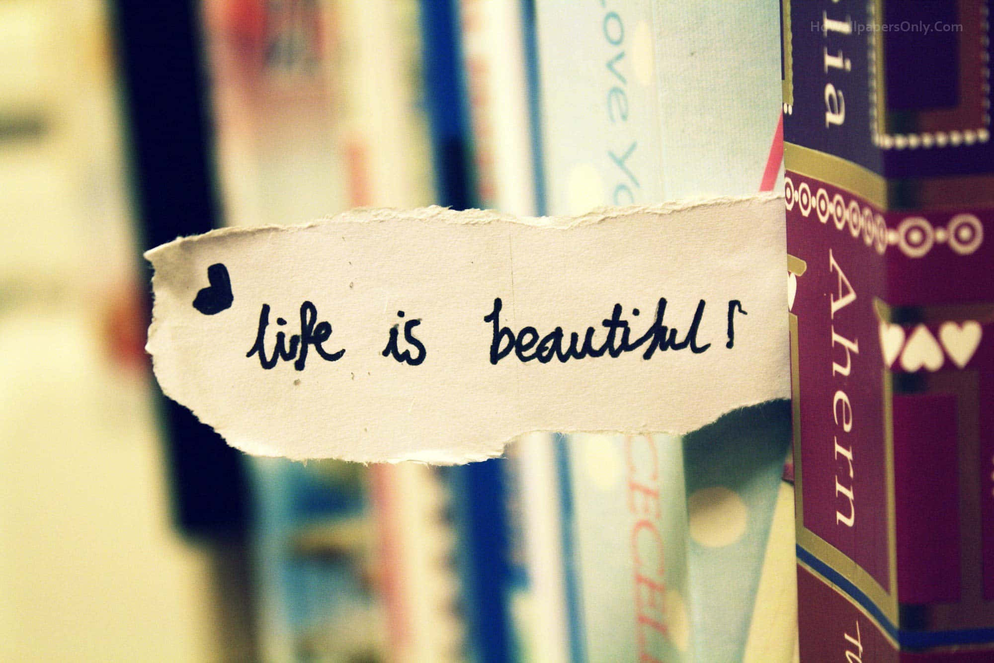 Life Is Beautiful, Book, Book Shelf, Book Shelf, Book Shelf, Book Shelf, Book Shelf, Book Shelf, Book Shelf, Book Shelf, Book Shelf