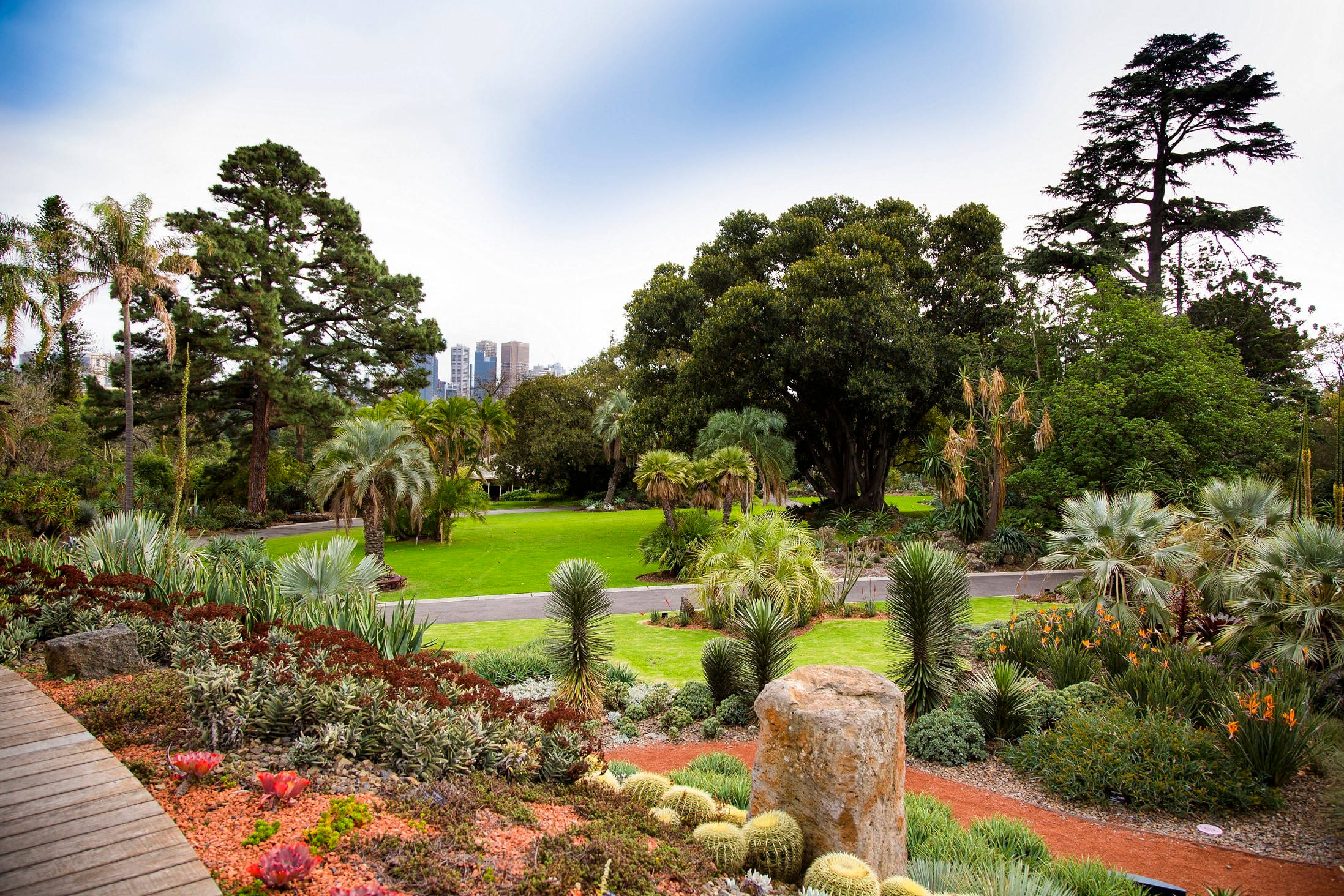 В каком городе есть ботанический сад. Королевский Ботанический сад в Австралии. Королевские Ботанические сады Мельбурна. Королевский Ботанический сад — парк в Мельбурне..
