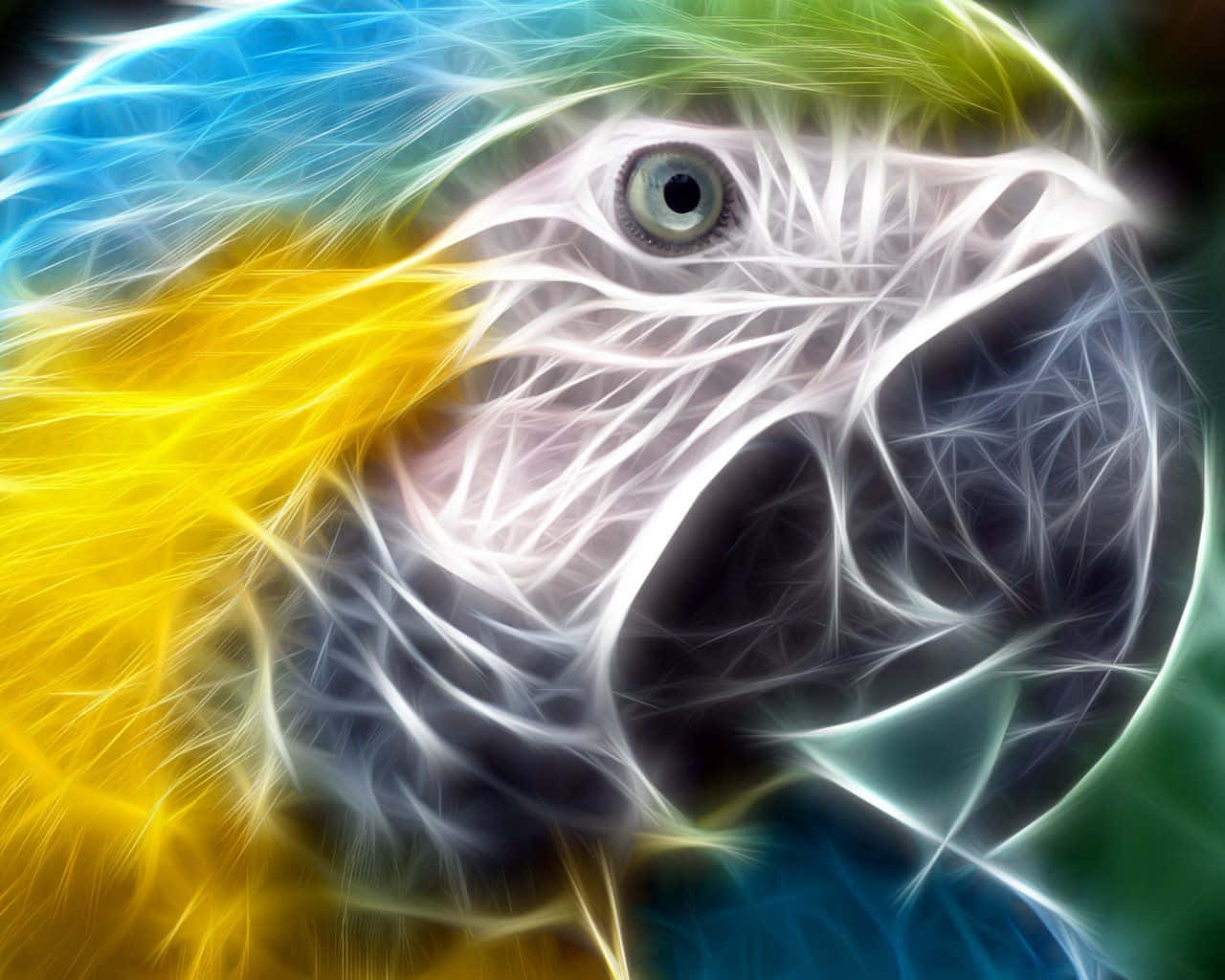 Neon Animal Macaw Bird's Head