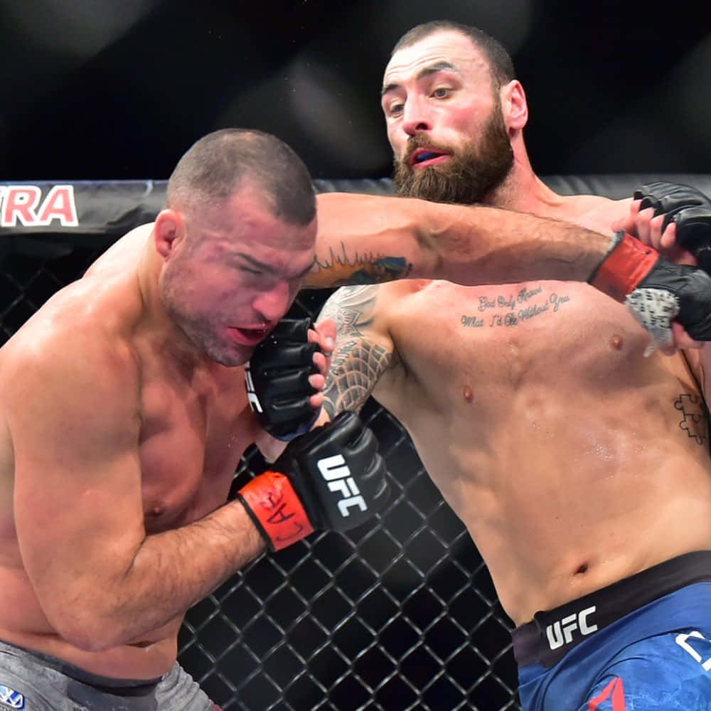 Paul Craig Trading Blows