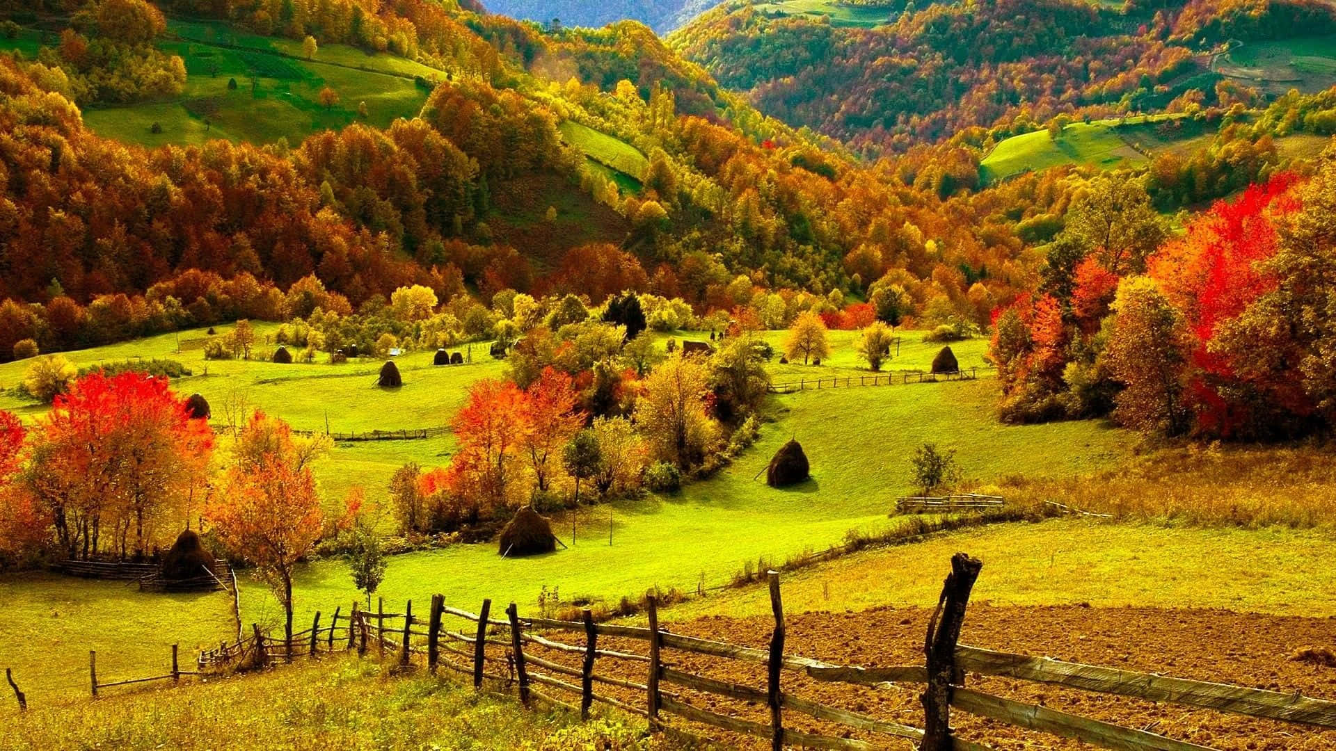 Picturesque Countryside: A Pleasant Place To Relax