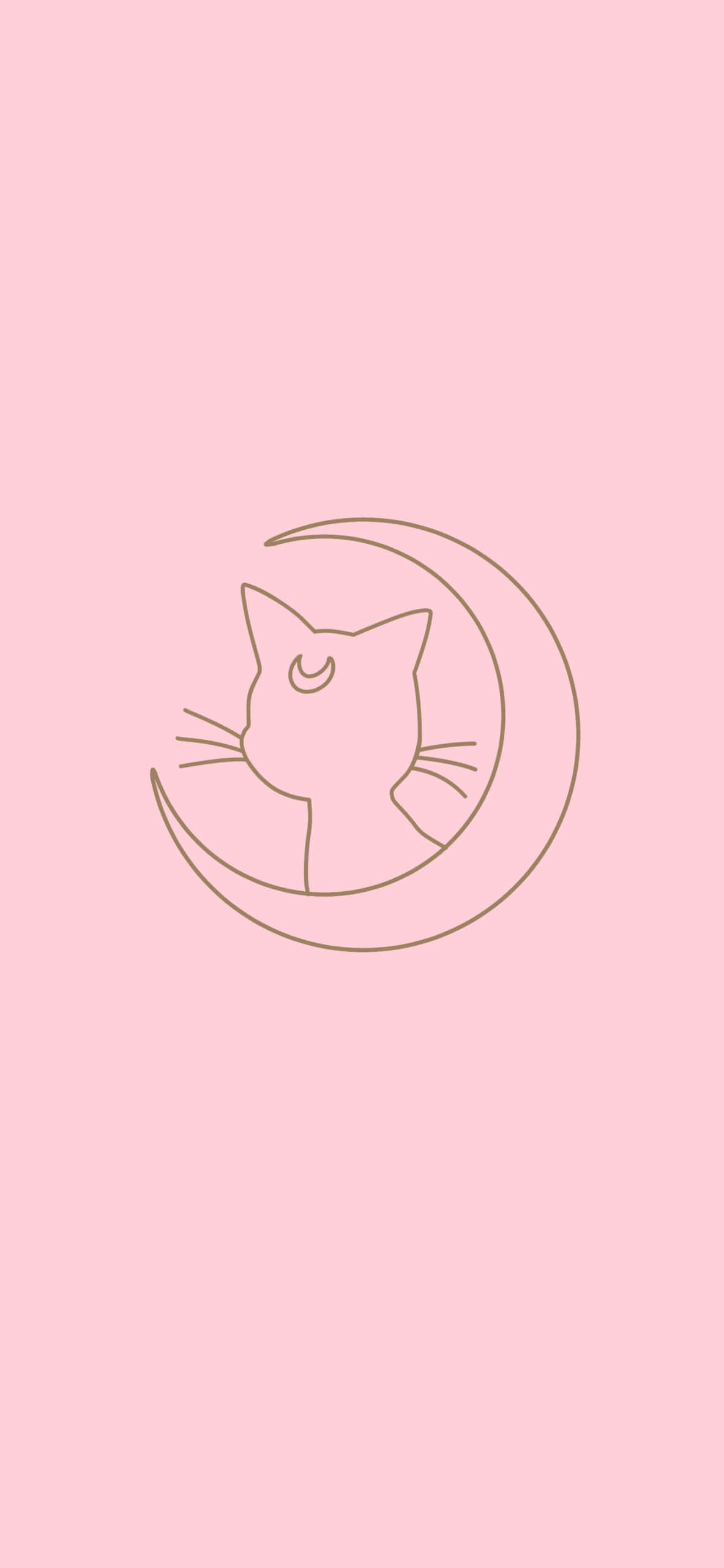 Pink Sailor Moon Inspired Cat Design