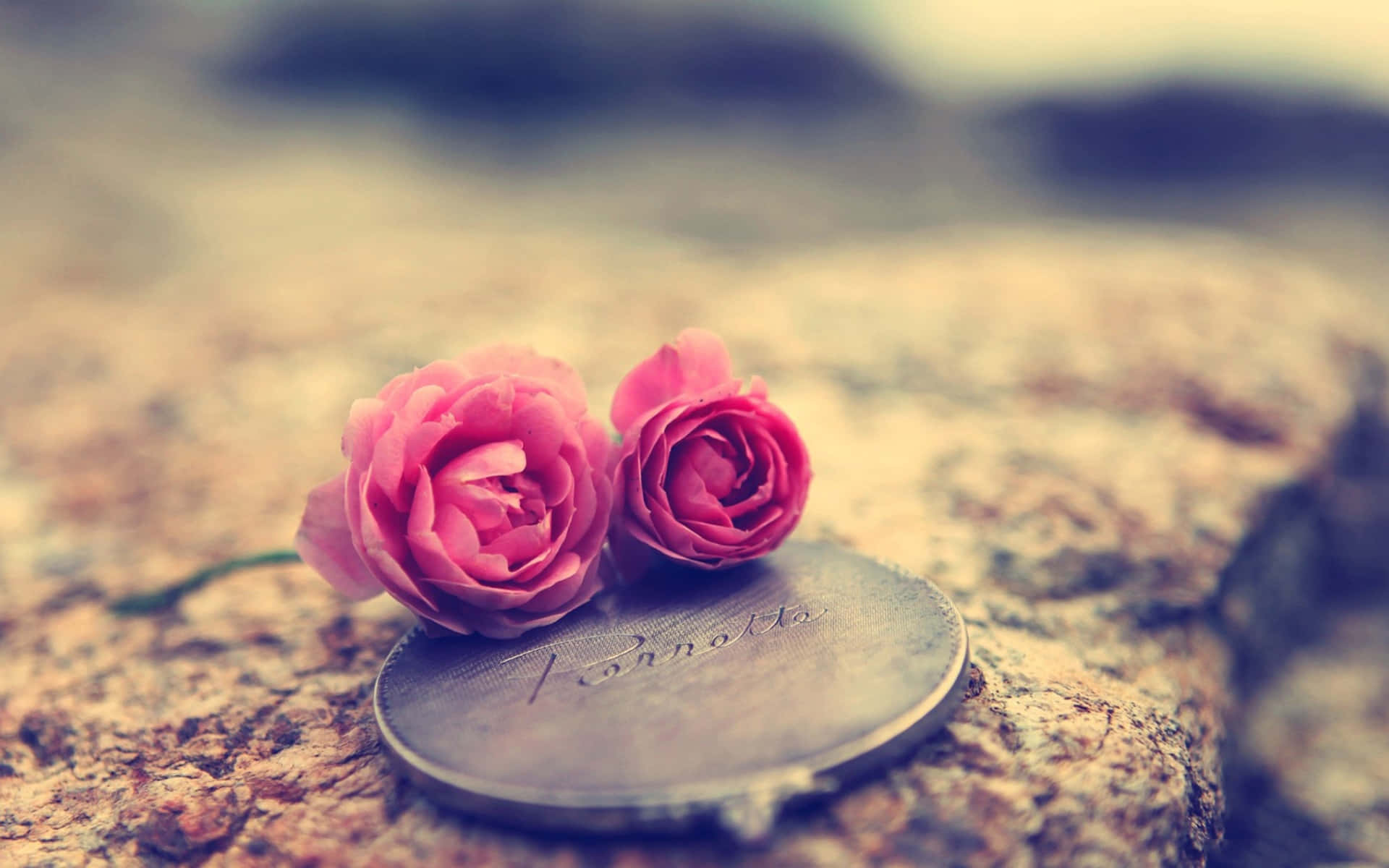 Rose Souvenir Laptop