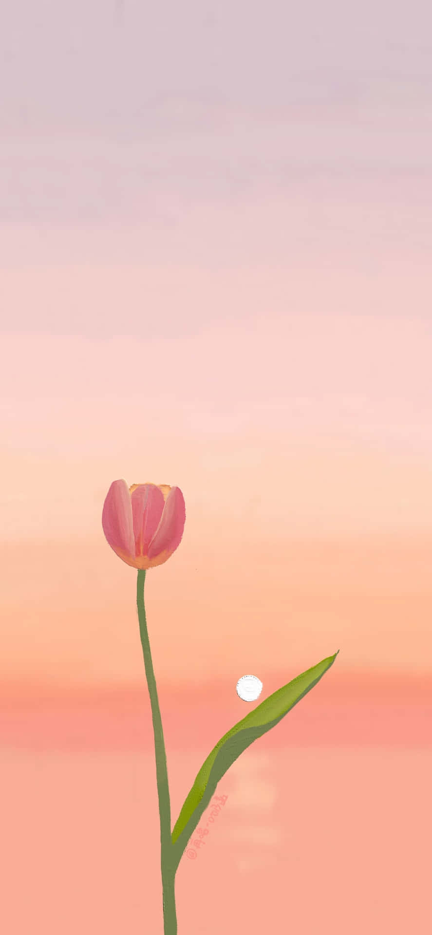 Serene Tulip Sunset Wallpaper