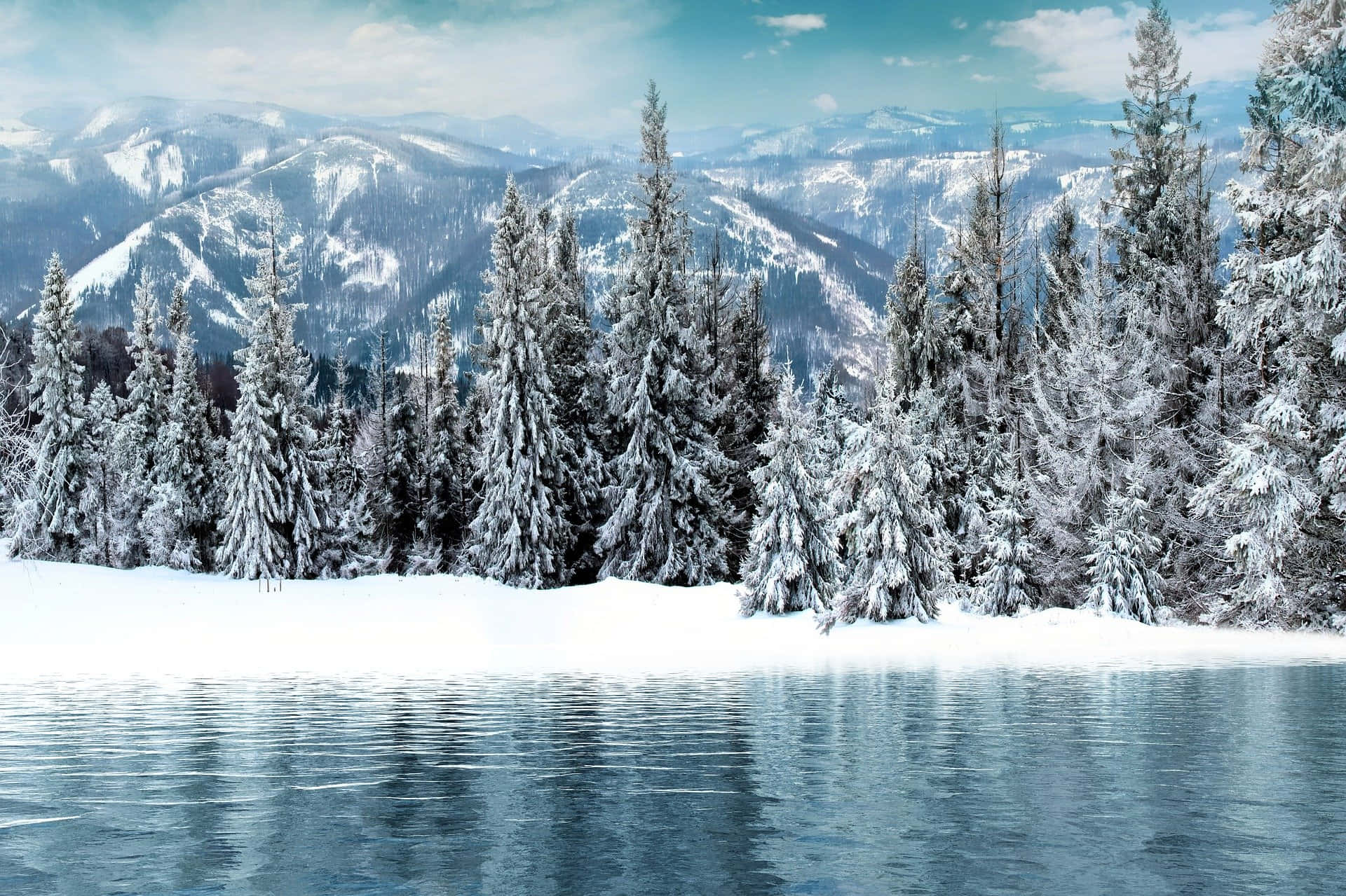 Simple Winter Trees Mountain Lake