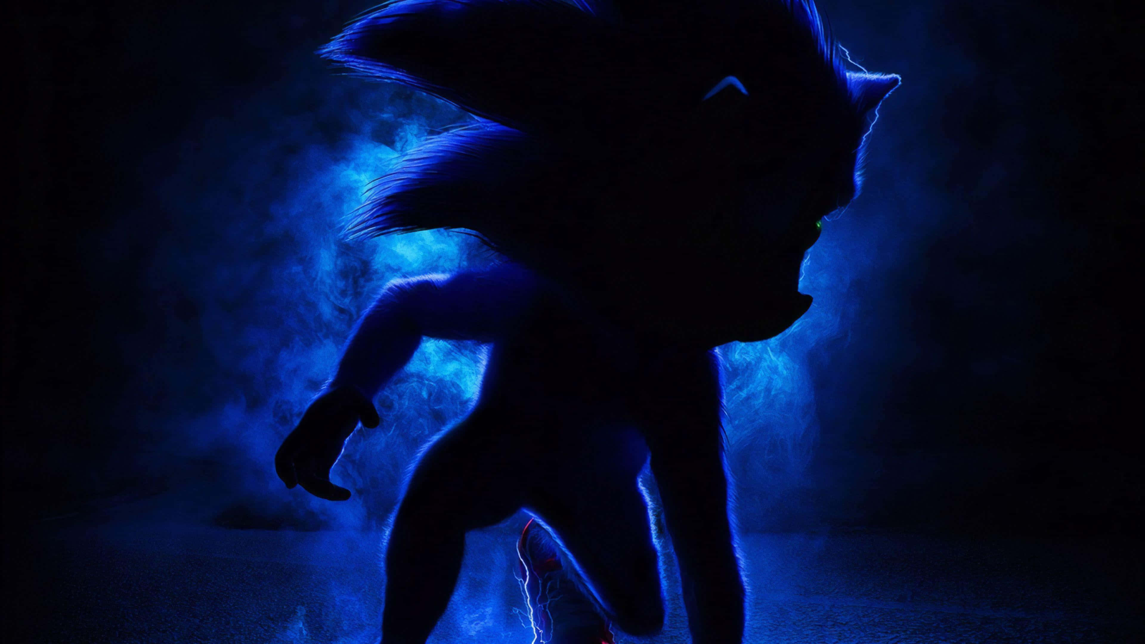 Sonic The Hedgehog: Ready For A New Adventure!