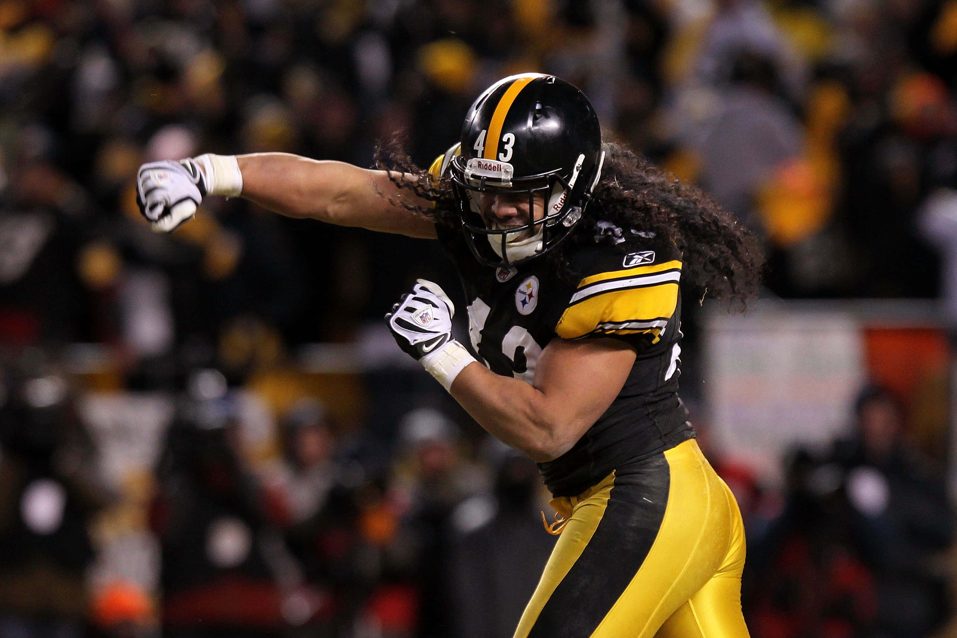 Steelers Safety Troy Polamalu