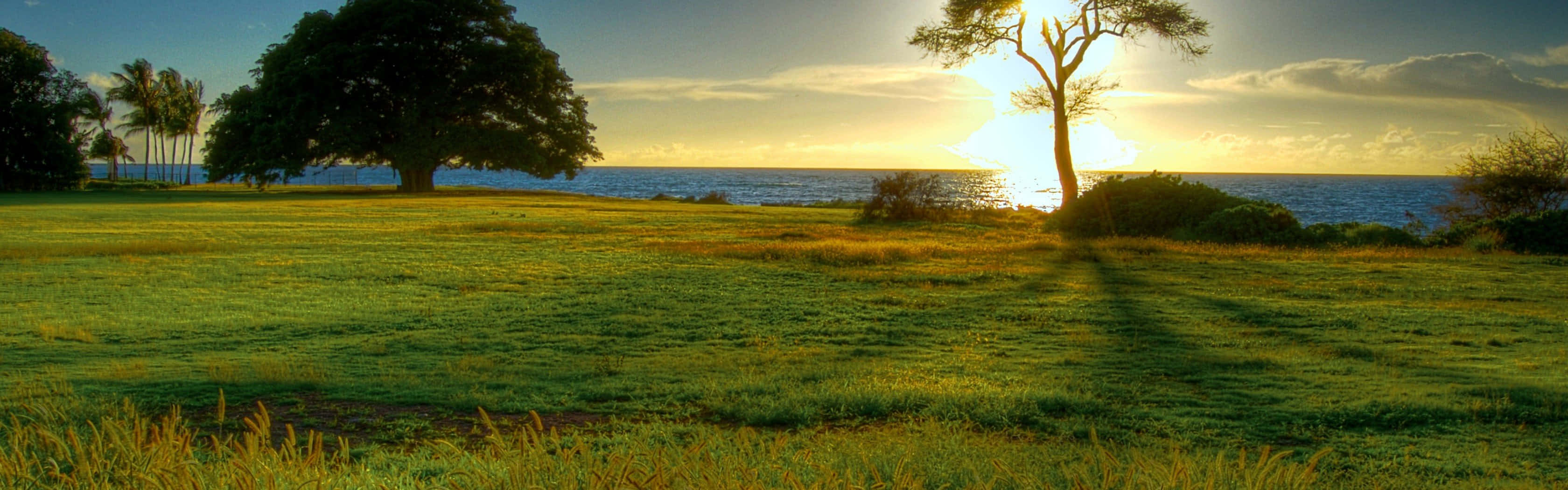 Structural Engineering Artwork