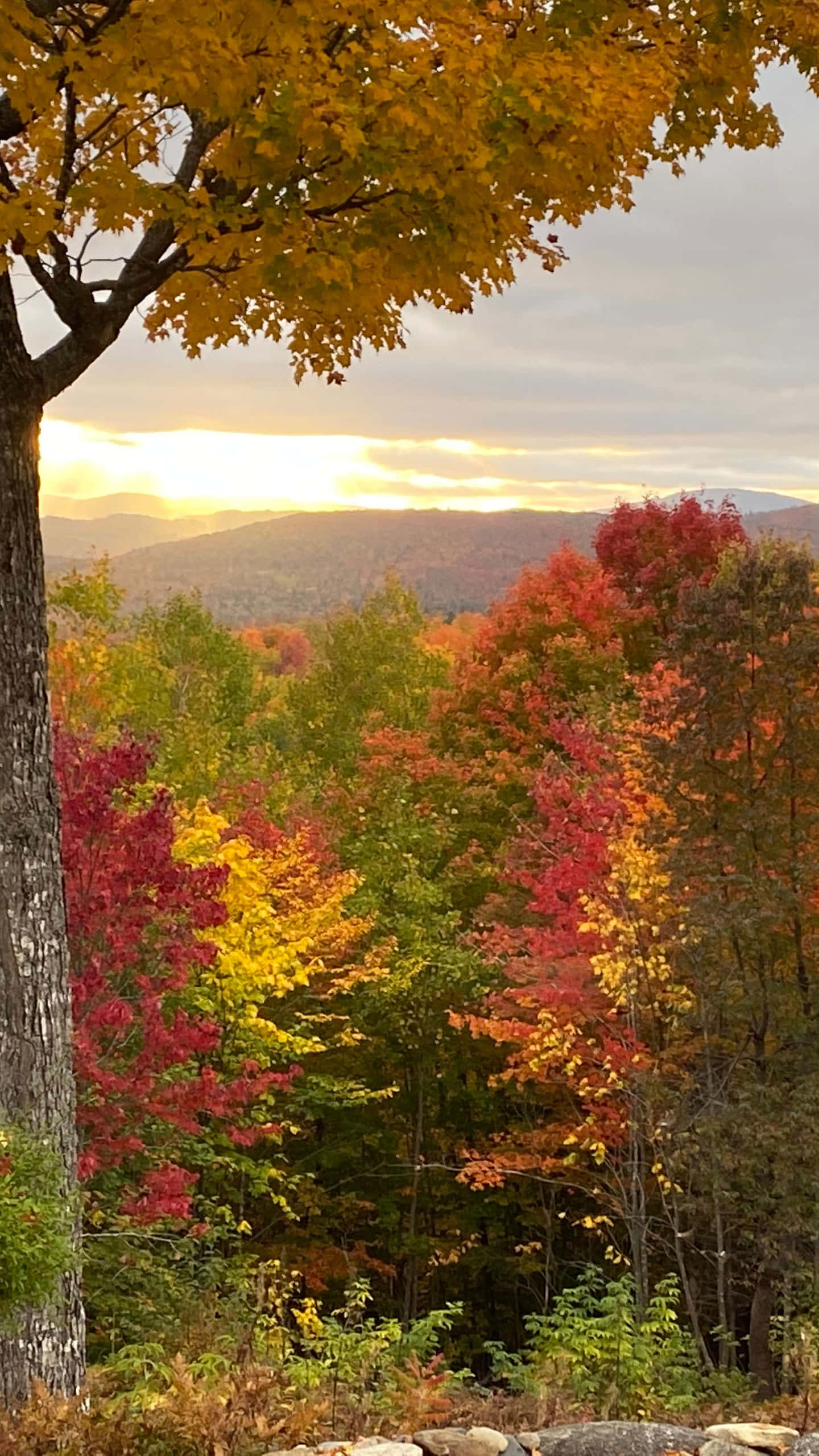 Sunset Sky Early Fall