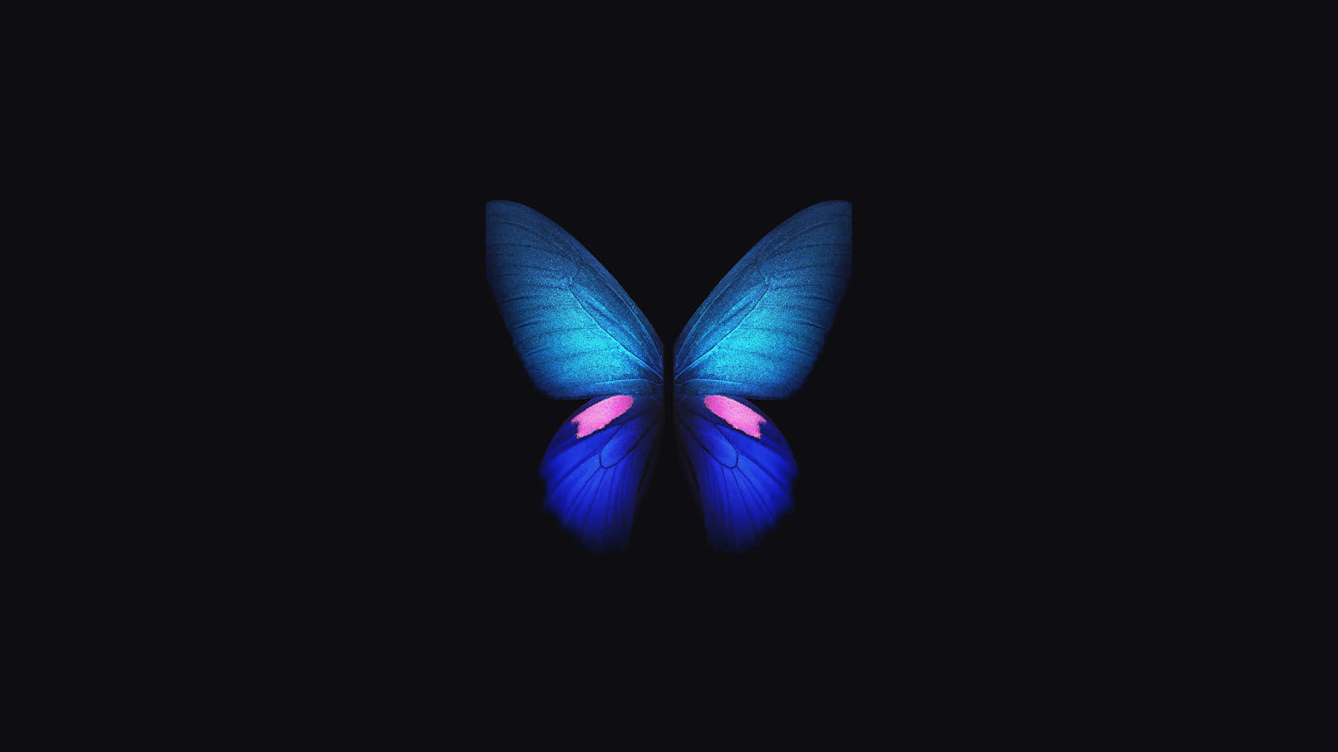 Surrounded By Beauty