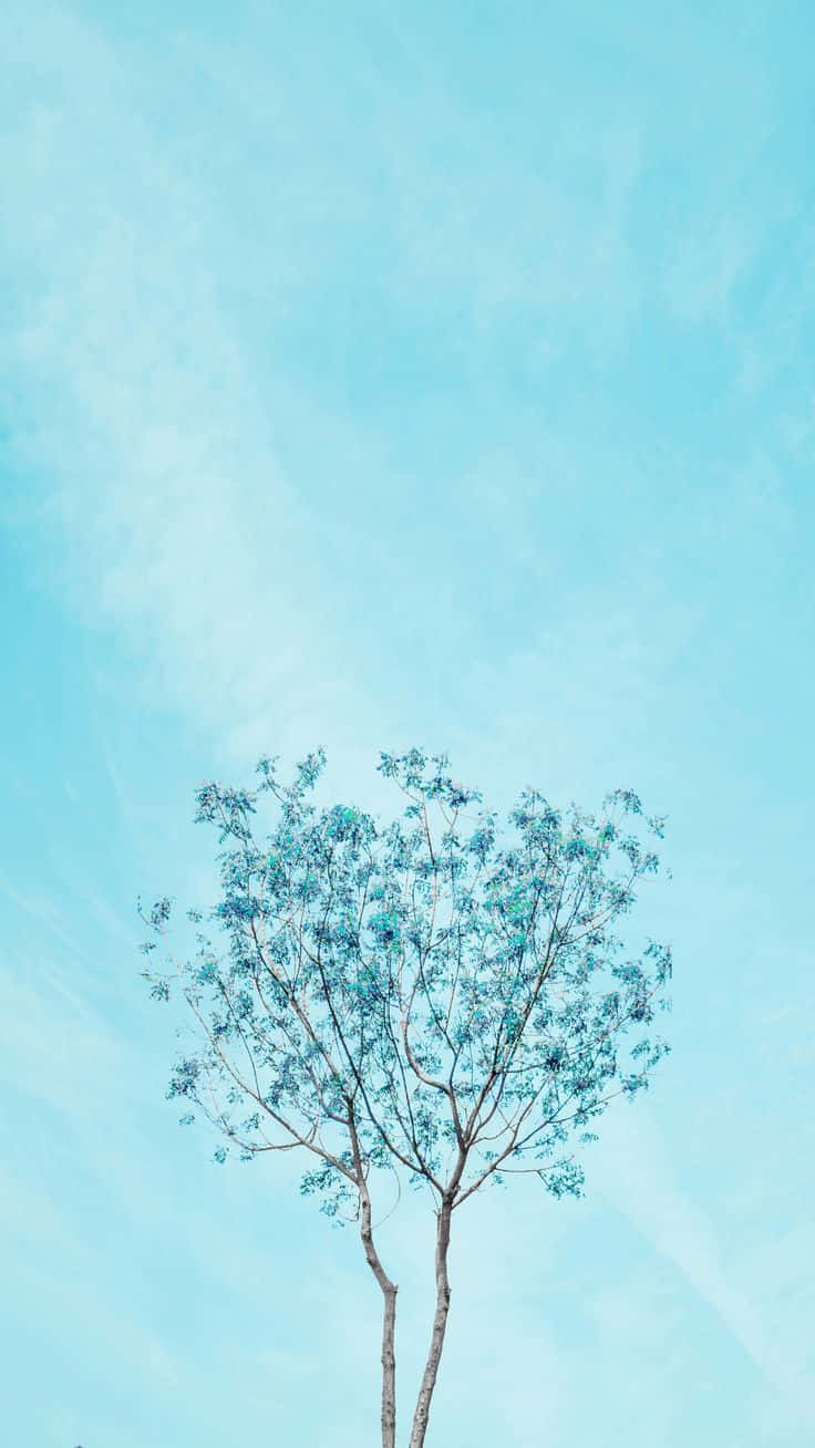 Tall Tree Pastel Blue Solid