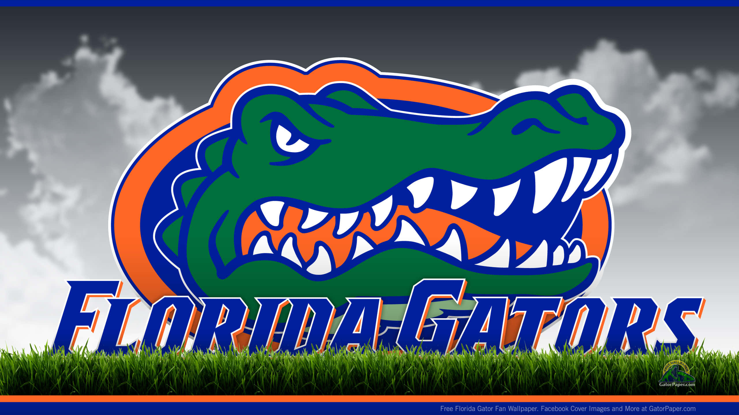 The Florida Gators Logo Is Shown In The Grass