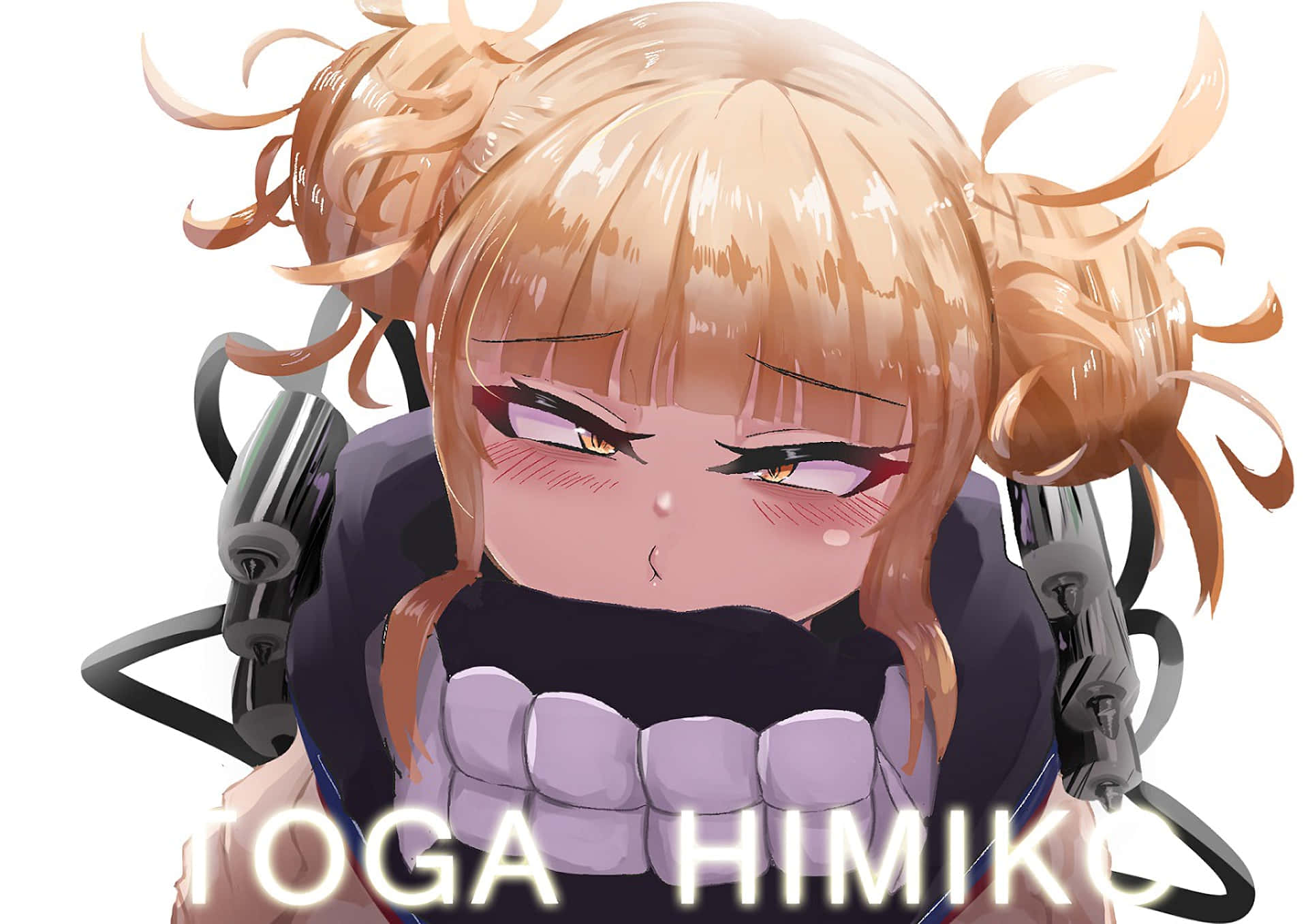 The Heroes Of Toga Mha