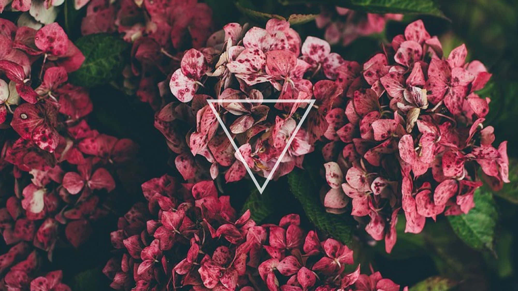 Triangle Tumblr Flowers Desktop