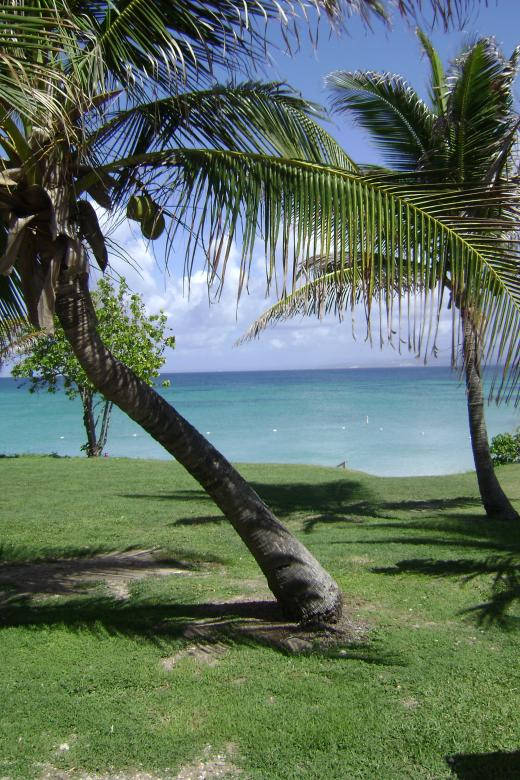 Download free Tropical Beach Island Green Grass Wallpaper - MrWallpaper.com