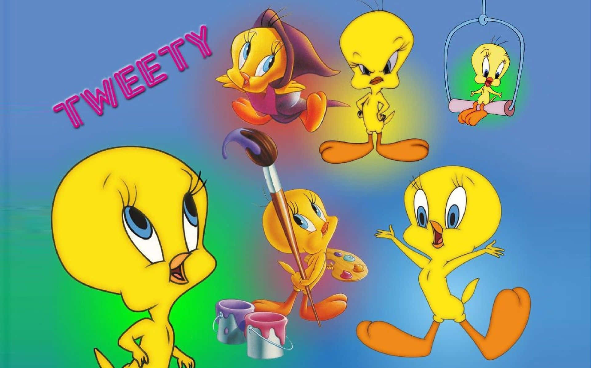 Tweety Bird 1920 X 1195