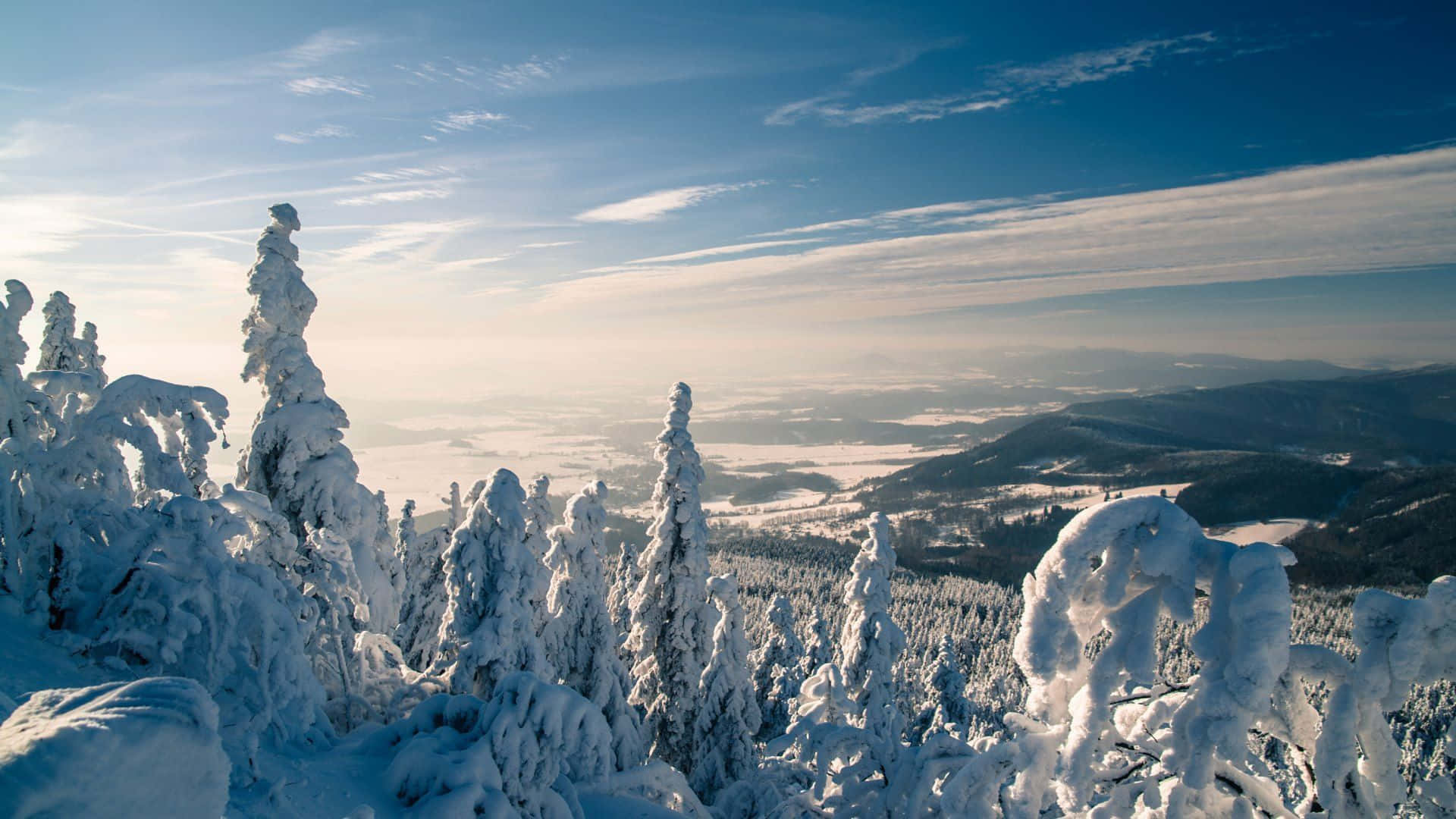 Ultra Wide Nature Snow