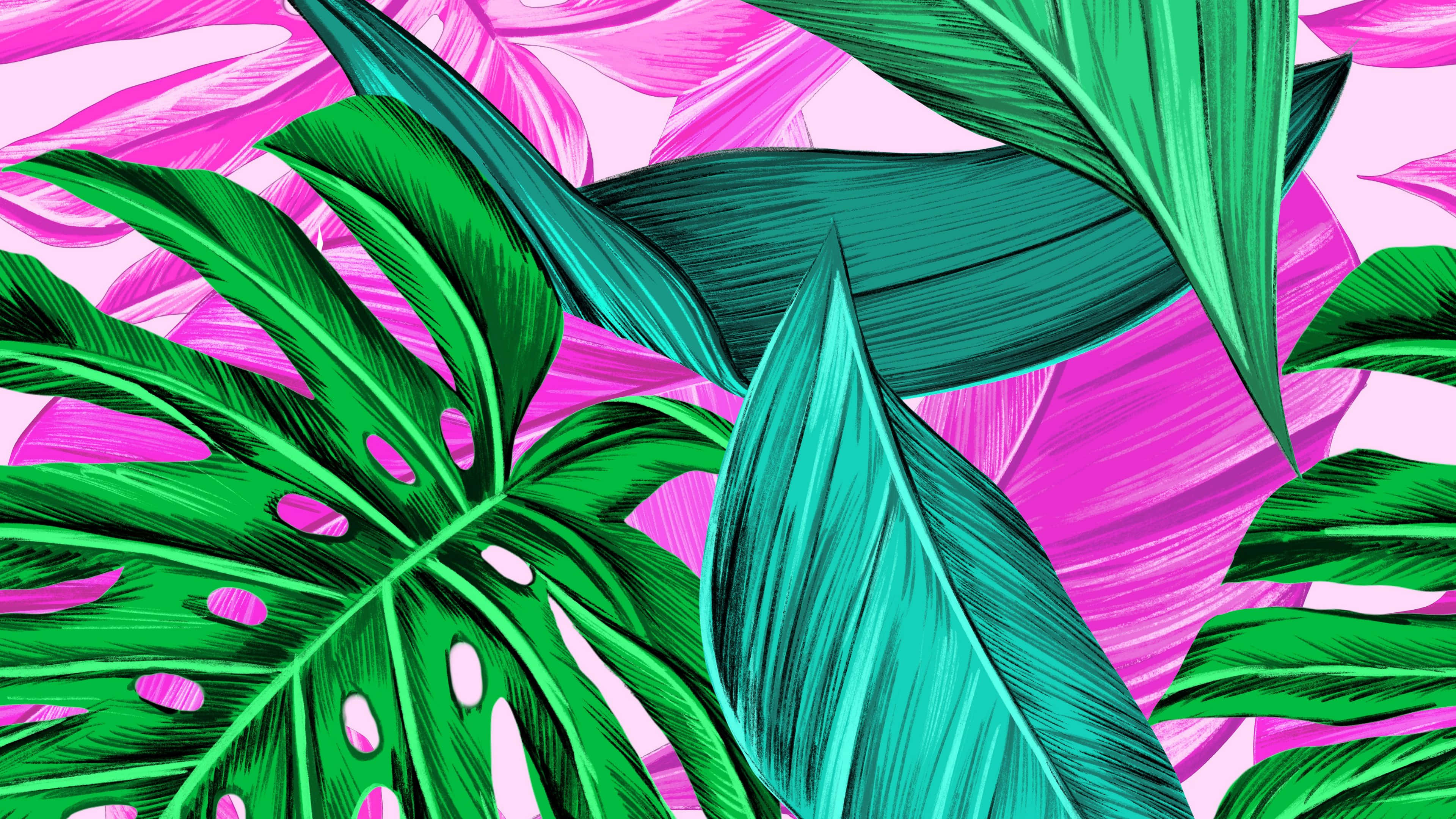 Vibrant Tropical Leaves Seem To Grace The Desktop Of An Eager And Inspired Vacationer