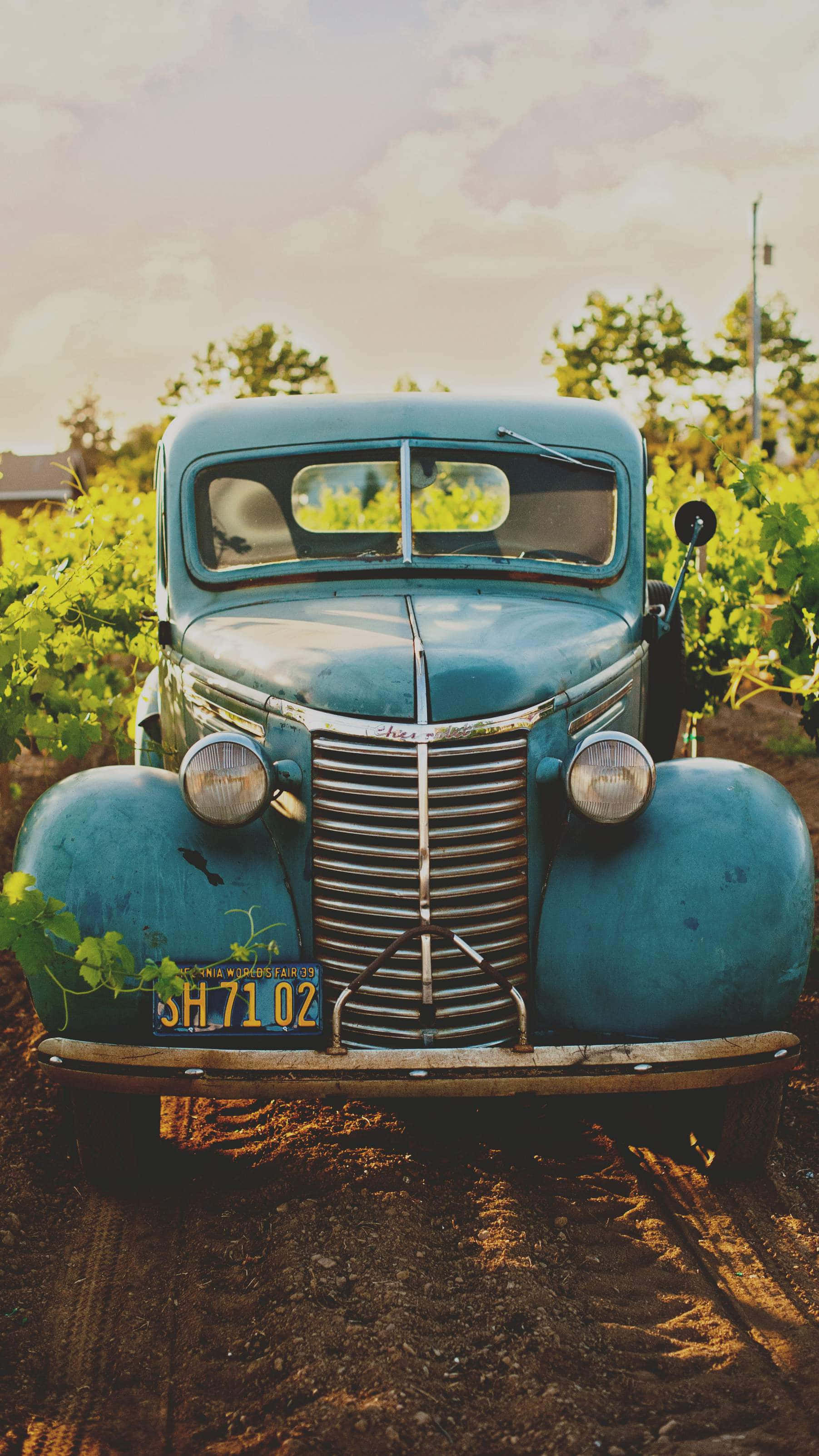 Vintage Car In Field Iphone