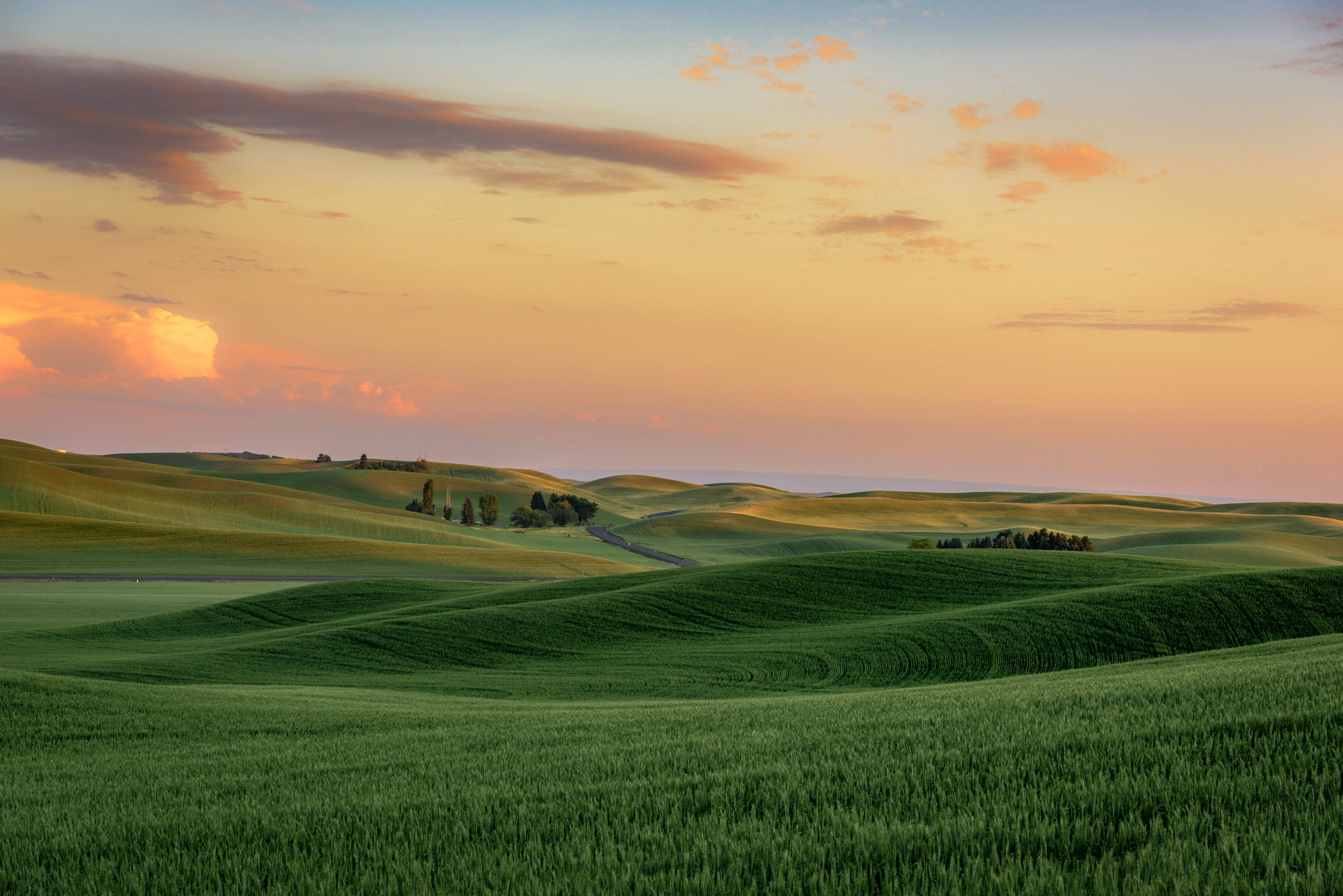 До самого горизонта раскинулась холмистая равнина. Холмы Palouse, США. Штат Канзас природа. Паданская низменность. Паданская равнина.