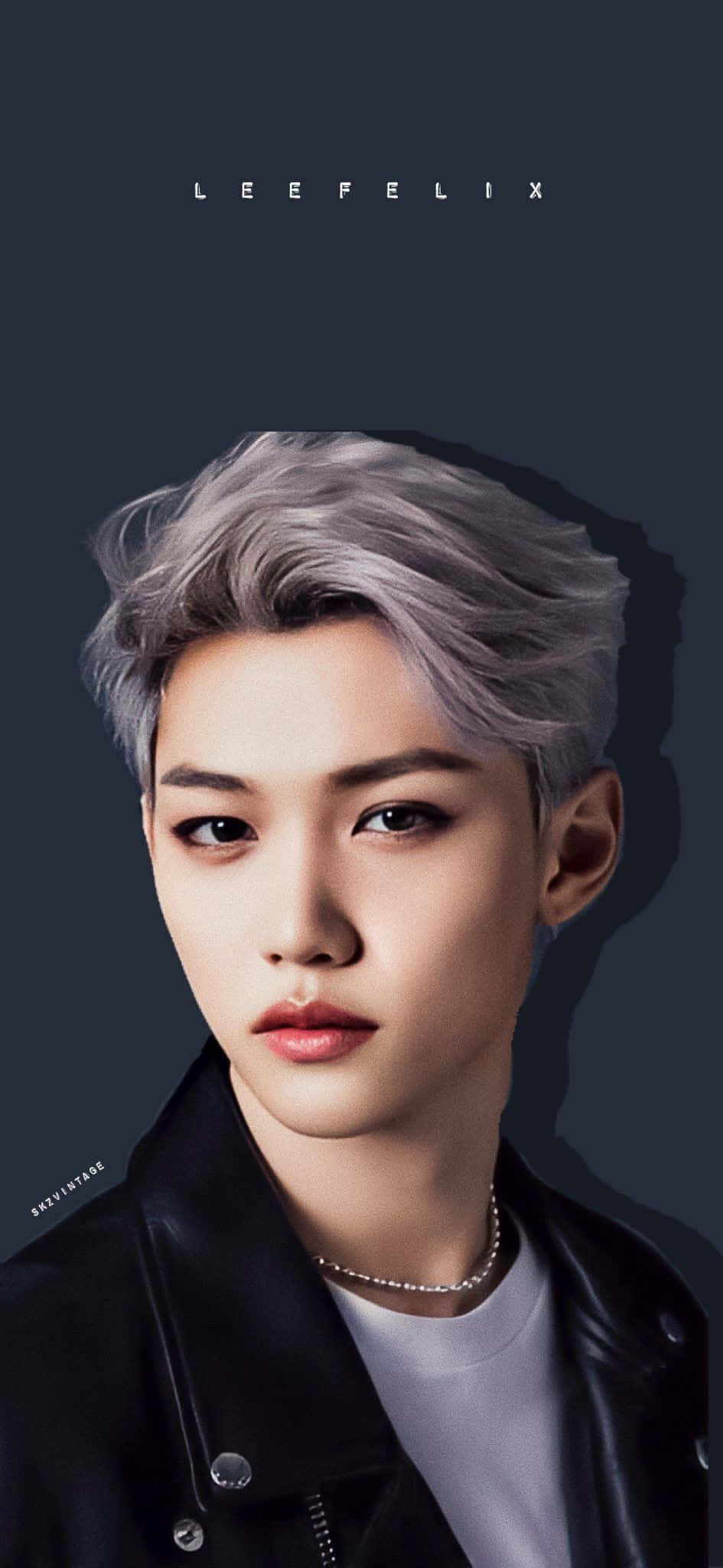 Welcome To The World Of Felix, Stray Kids