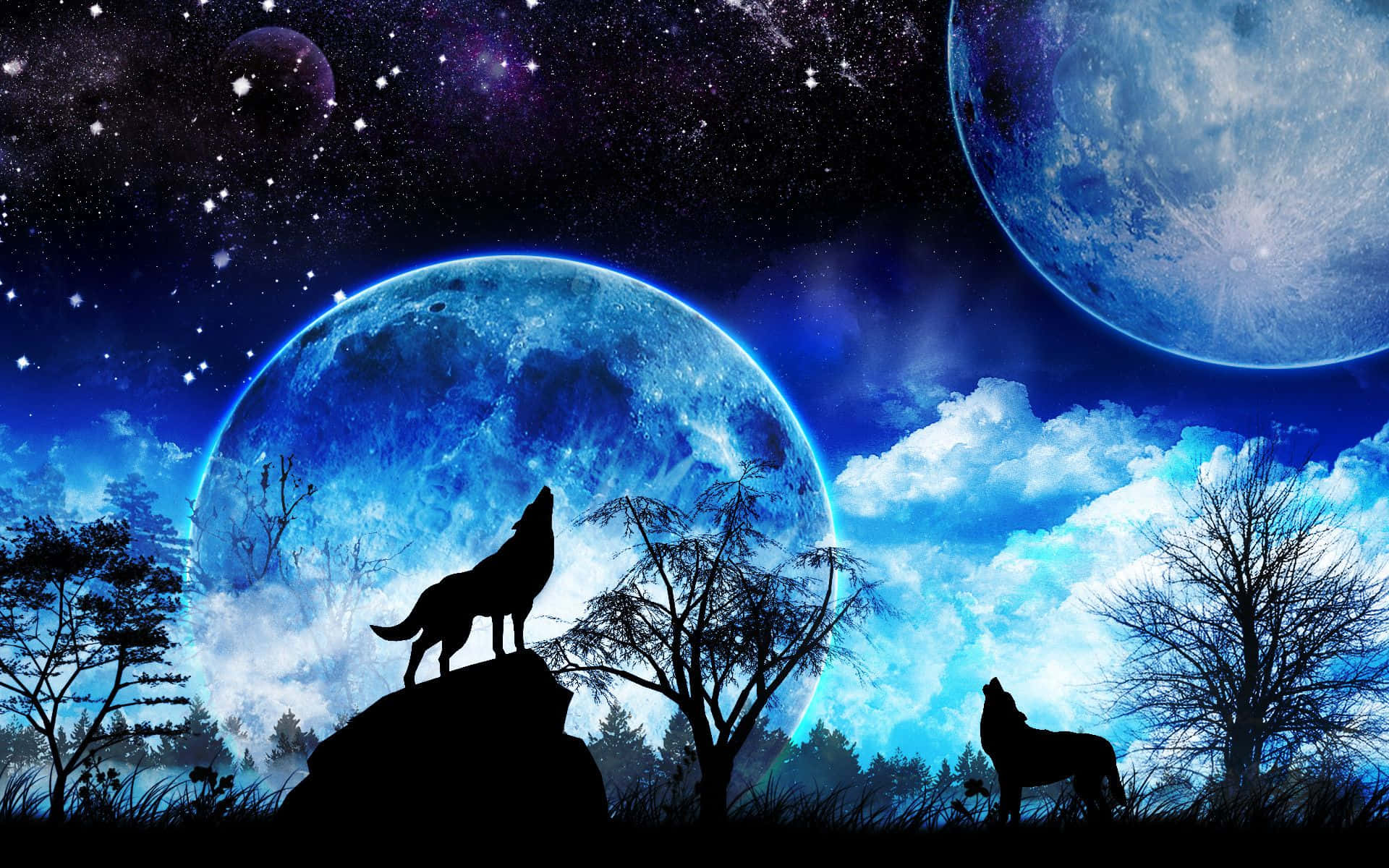 Wolf Howling In The Moonlight
