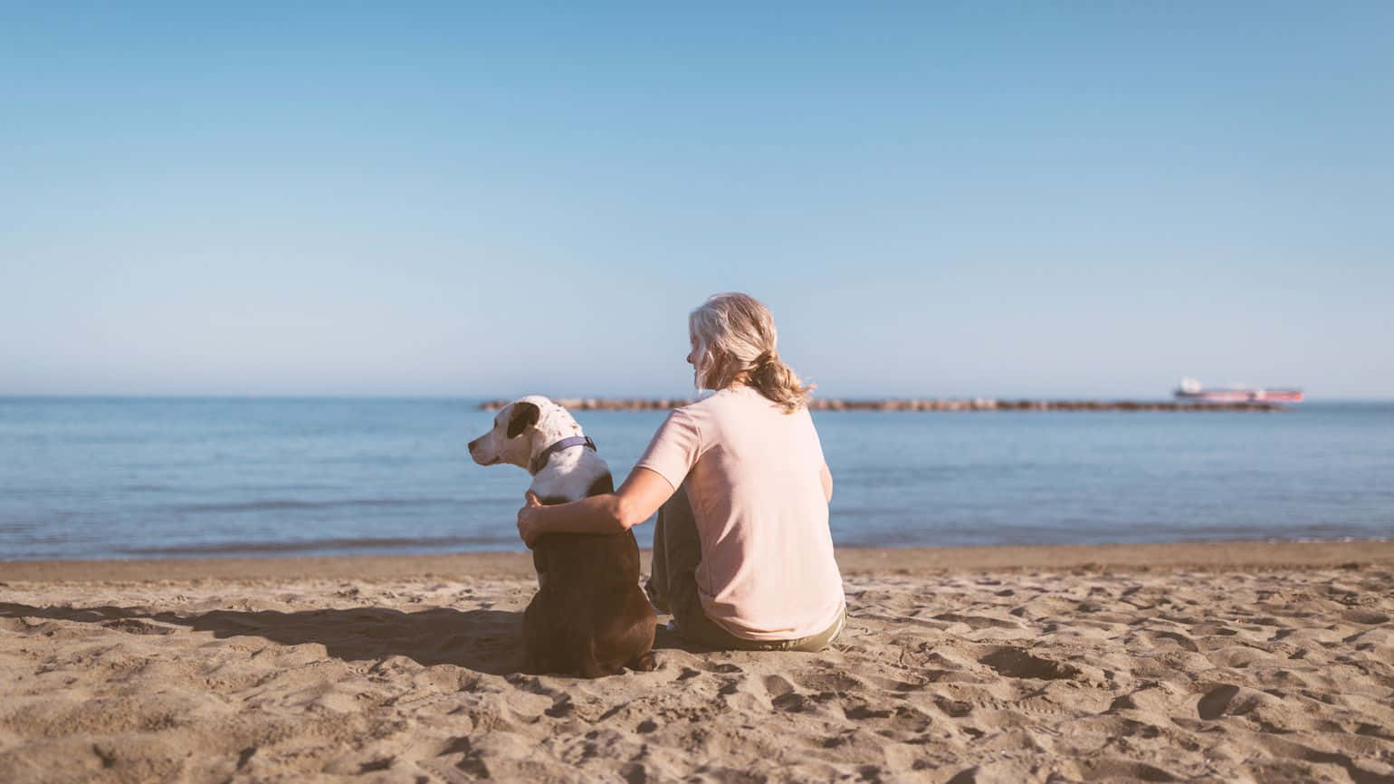 Woman Sitting On Beach With Dog