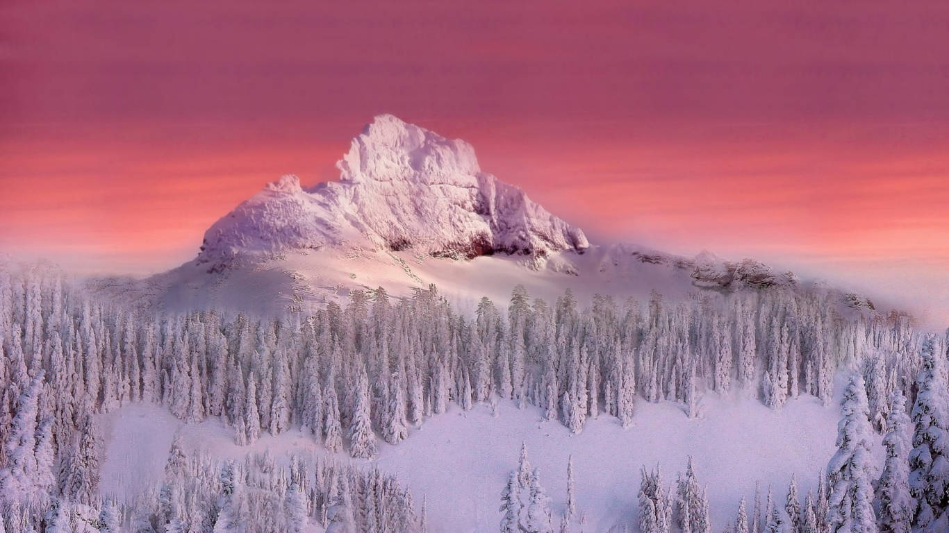 1366 X 768 Winter Forest Sunset Sky Wallpaper