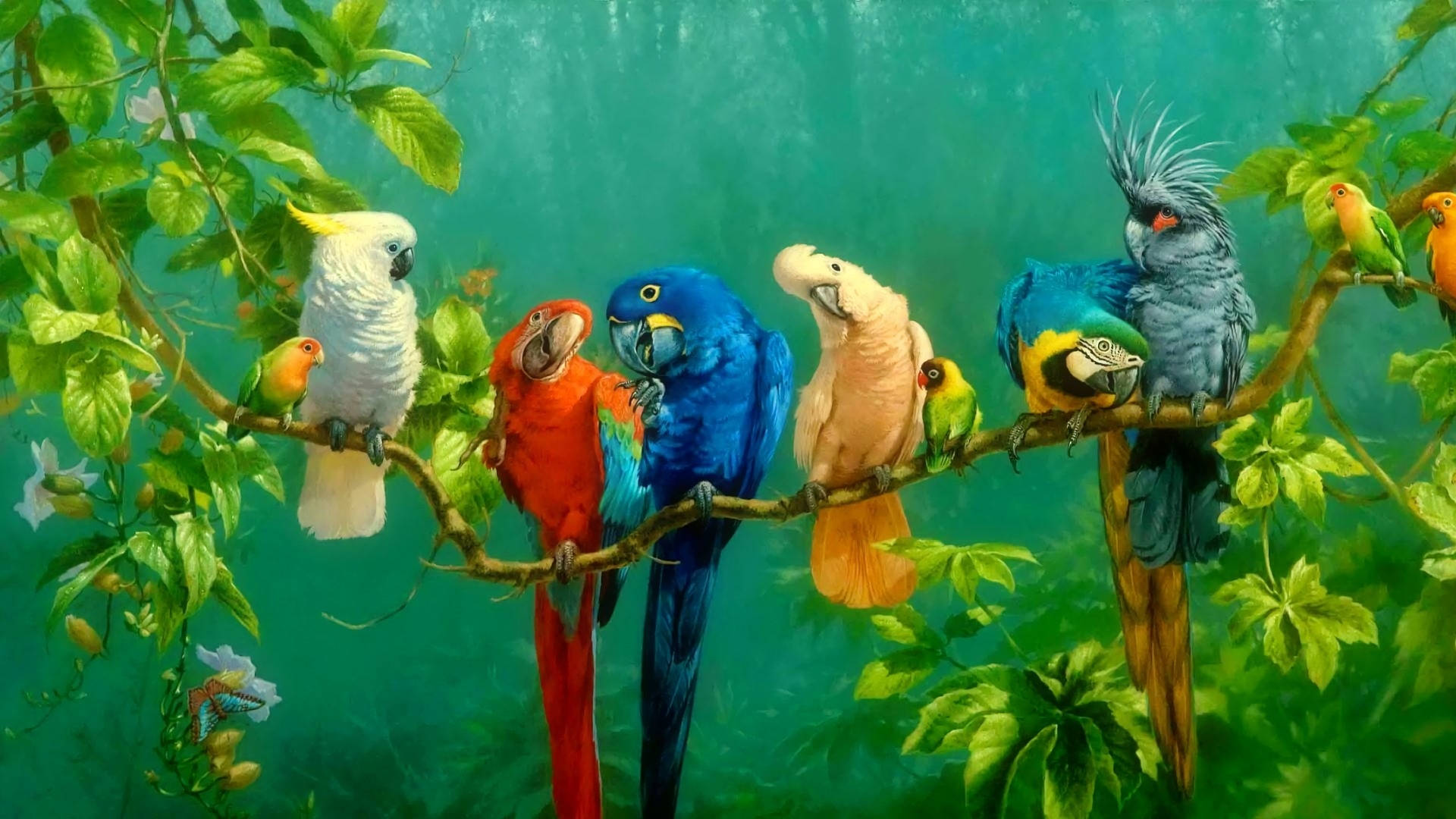 1920x1080 Hd Birds Parrot Wallpaper