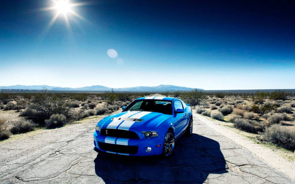 2010 Blue Mustang Hd Shelby Desert Wallpaper