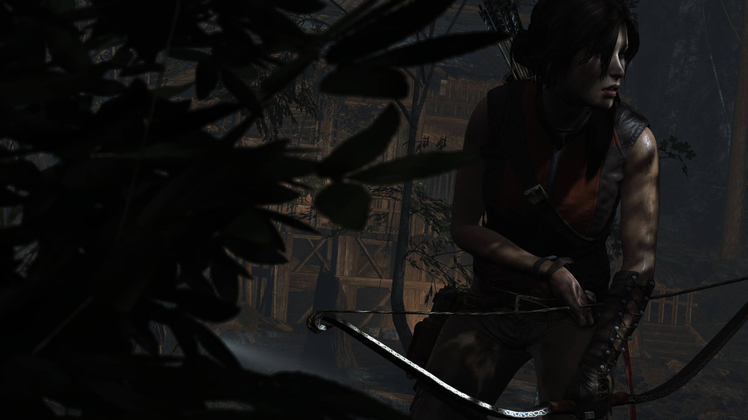 2560 X 1440 Tomb Raider Survivalist Lara Croft Wallpaper