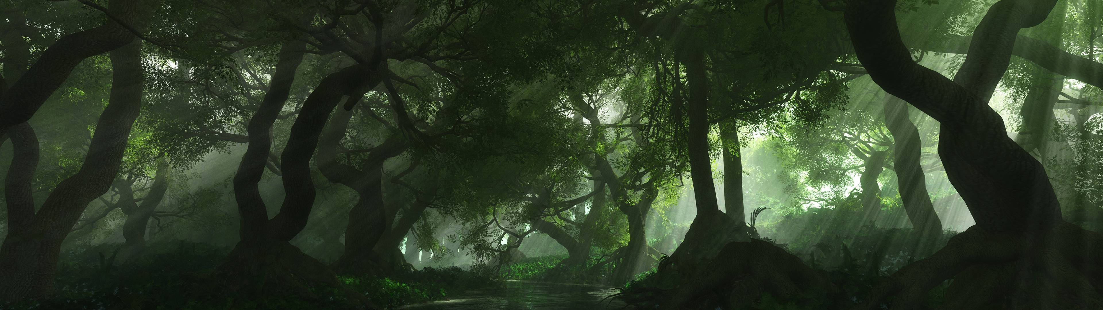 3840x1080 Hd Dual Monitor Forest Wallpaper