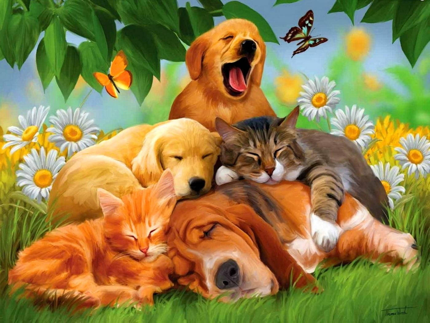 3d Cat And Dog Wallpaper