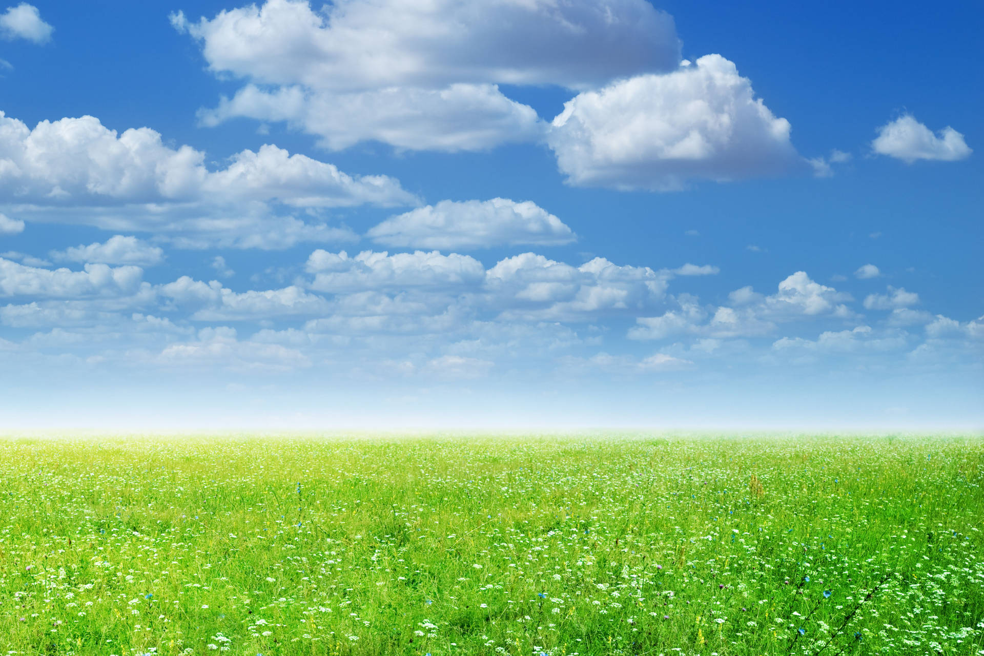 4k Landscape Green Field Clouds Wallpaper