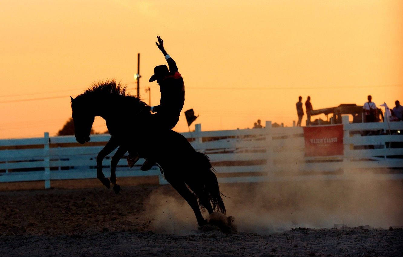 A Barrel Racer In Full Speed! Wallpaper