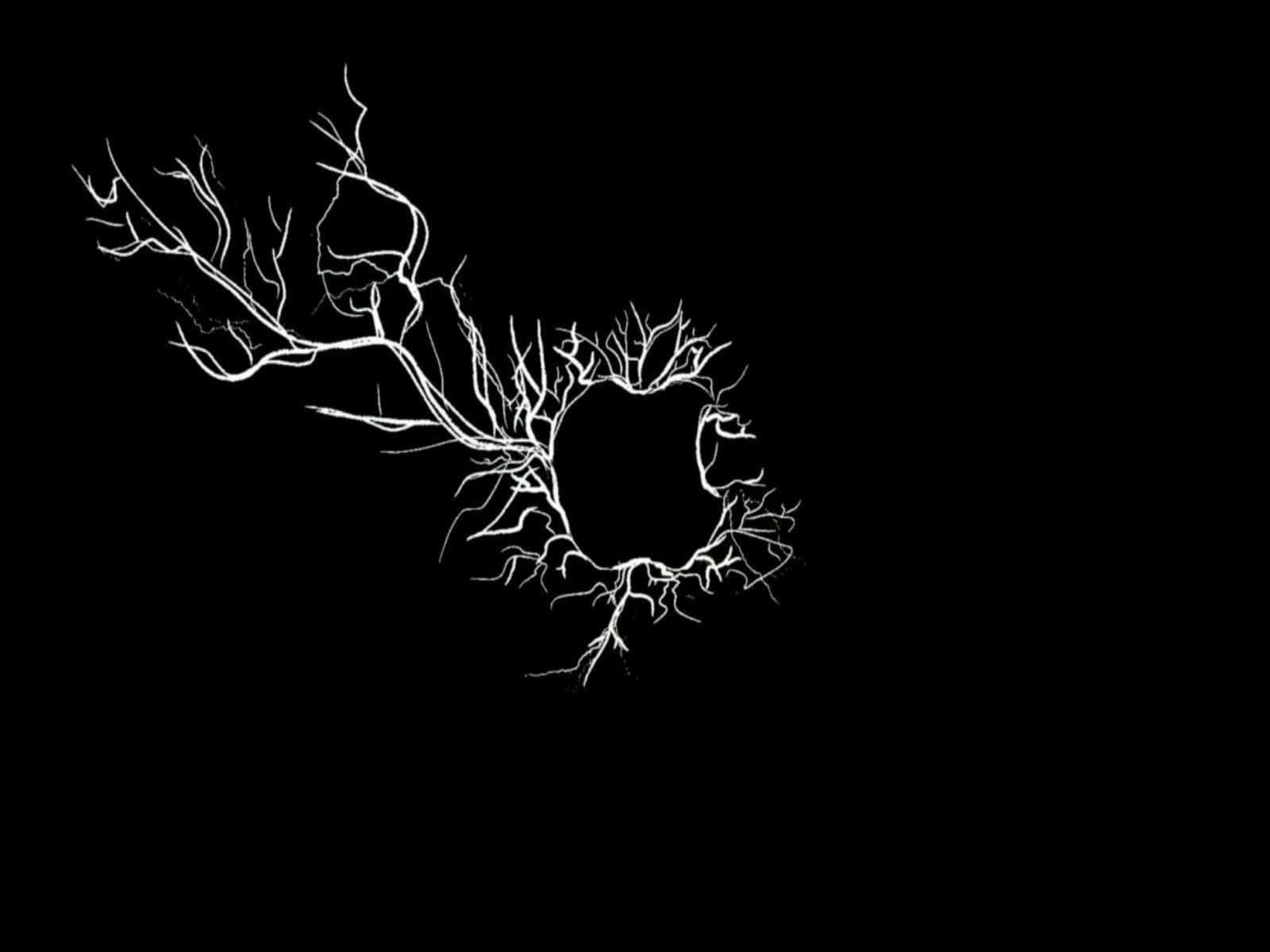 A Black Background With A Tree In The Middle Wallpaper