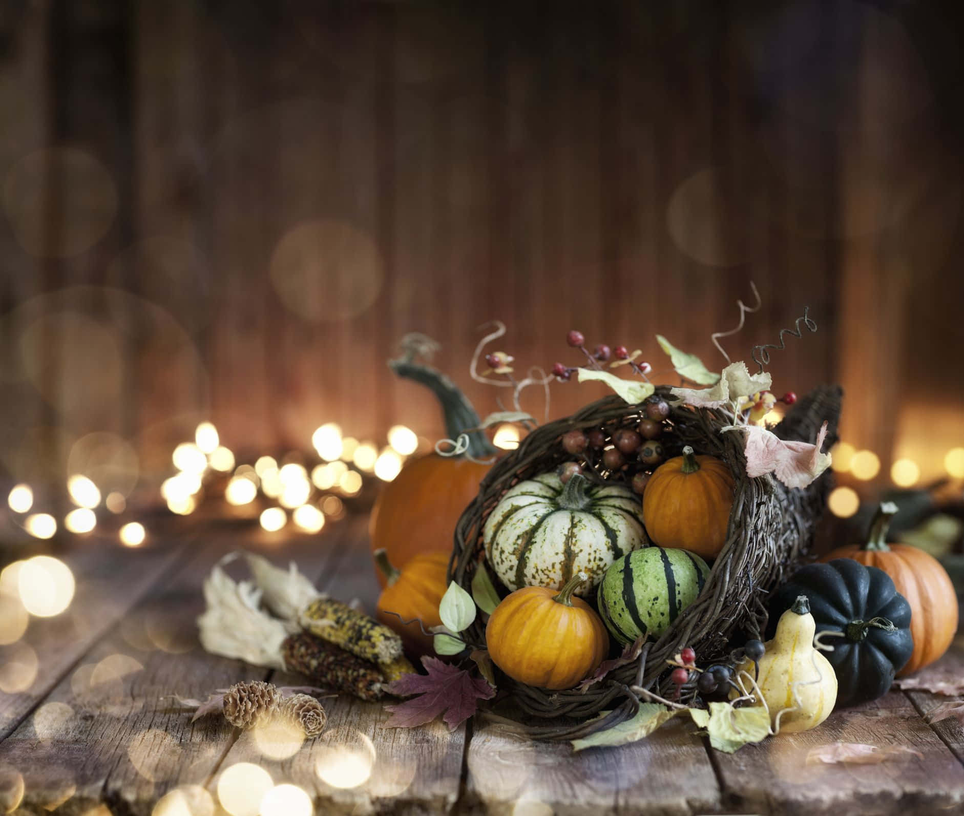 A Bouquet Of Pumpkin For Fall Thanksgiving Wallpaper