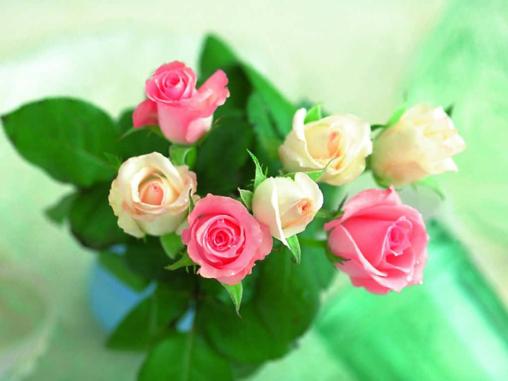 A Bouquet Of Red Roses Set Against A Bright Blue Sky Wallpaper